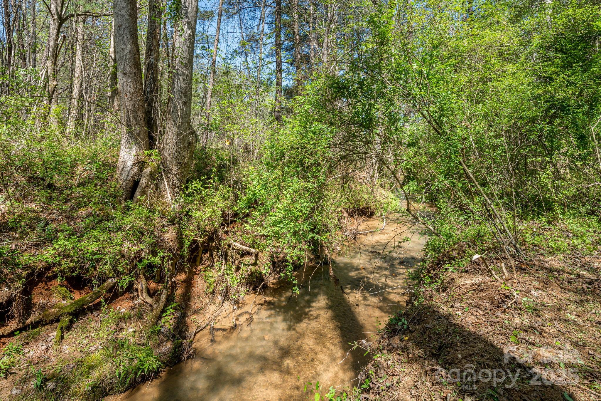 19 Sunset Drive, Unit 19 Mill Spring, NC 28756 - Photo 11 of 23