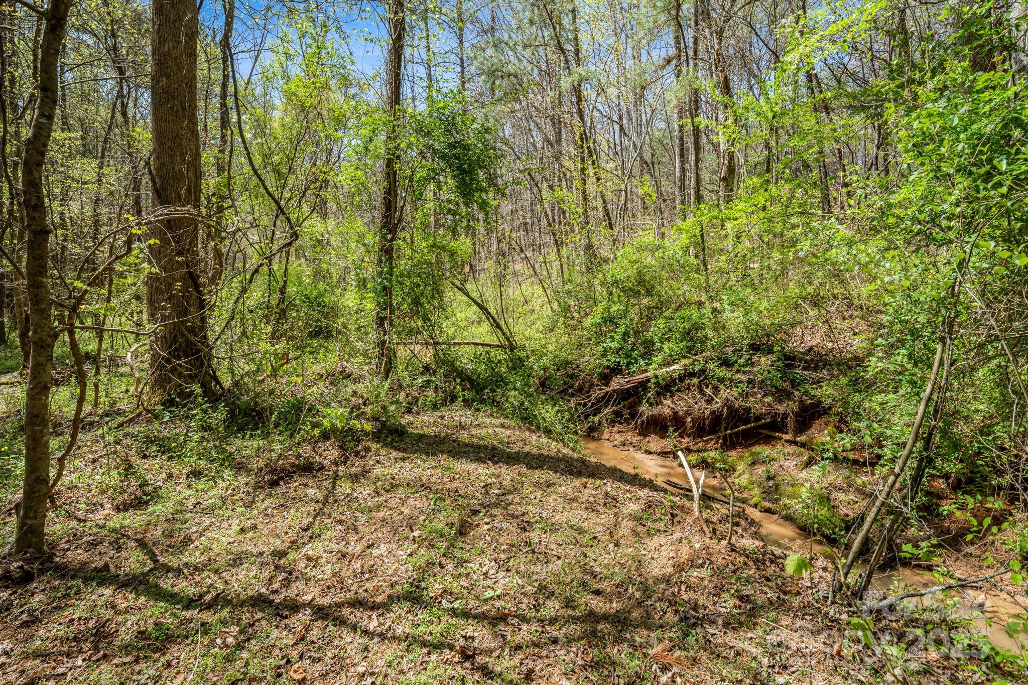 19 Sunset Drive, Unit 19 Mill Spring, NC 28756 - Photo 13 of 23