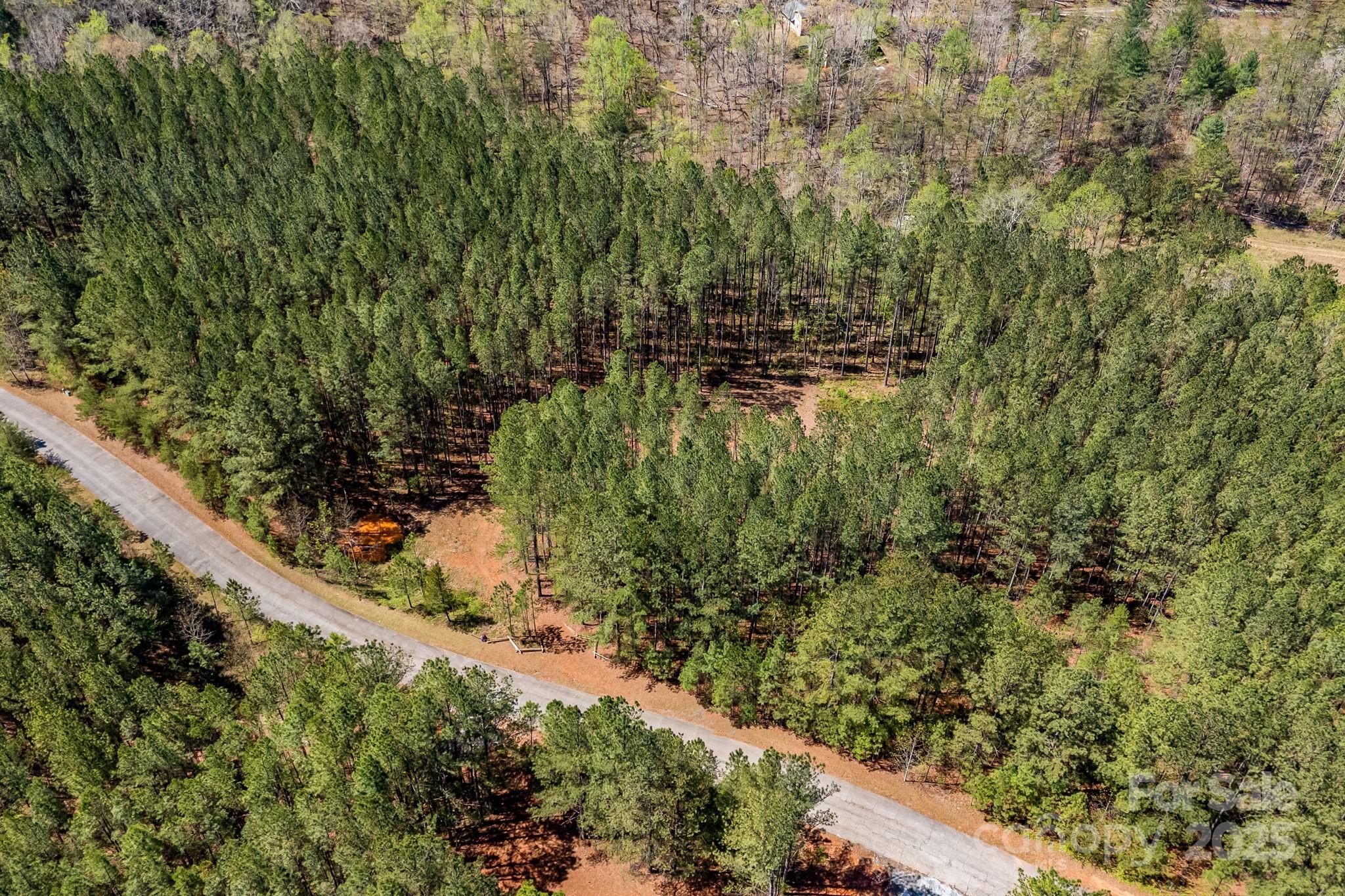 19 Sunset Drive, Unit 19 Mill Spring, NC 28756 - Photo 14 of 23