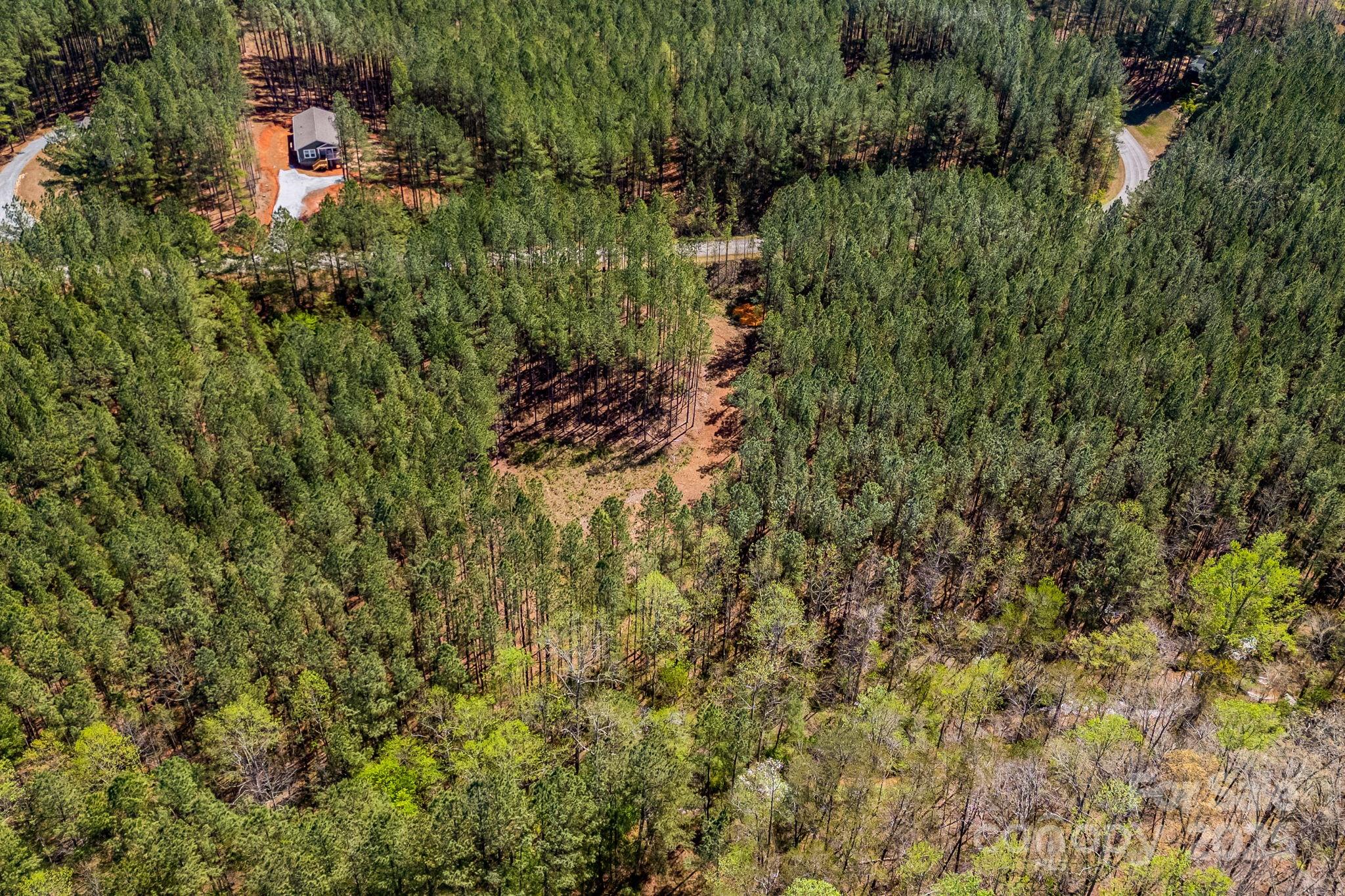 19 Sunset Drive, Unit 19 Mill Spring, NC 28756 - Photo 17 of 23