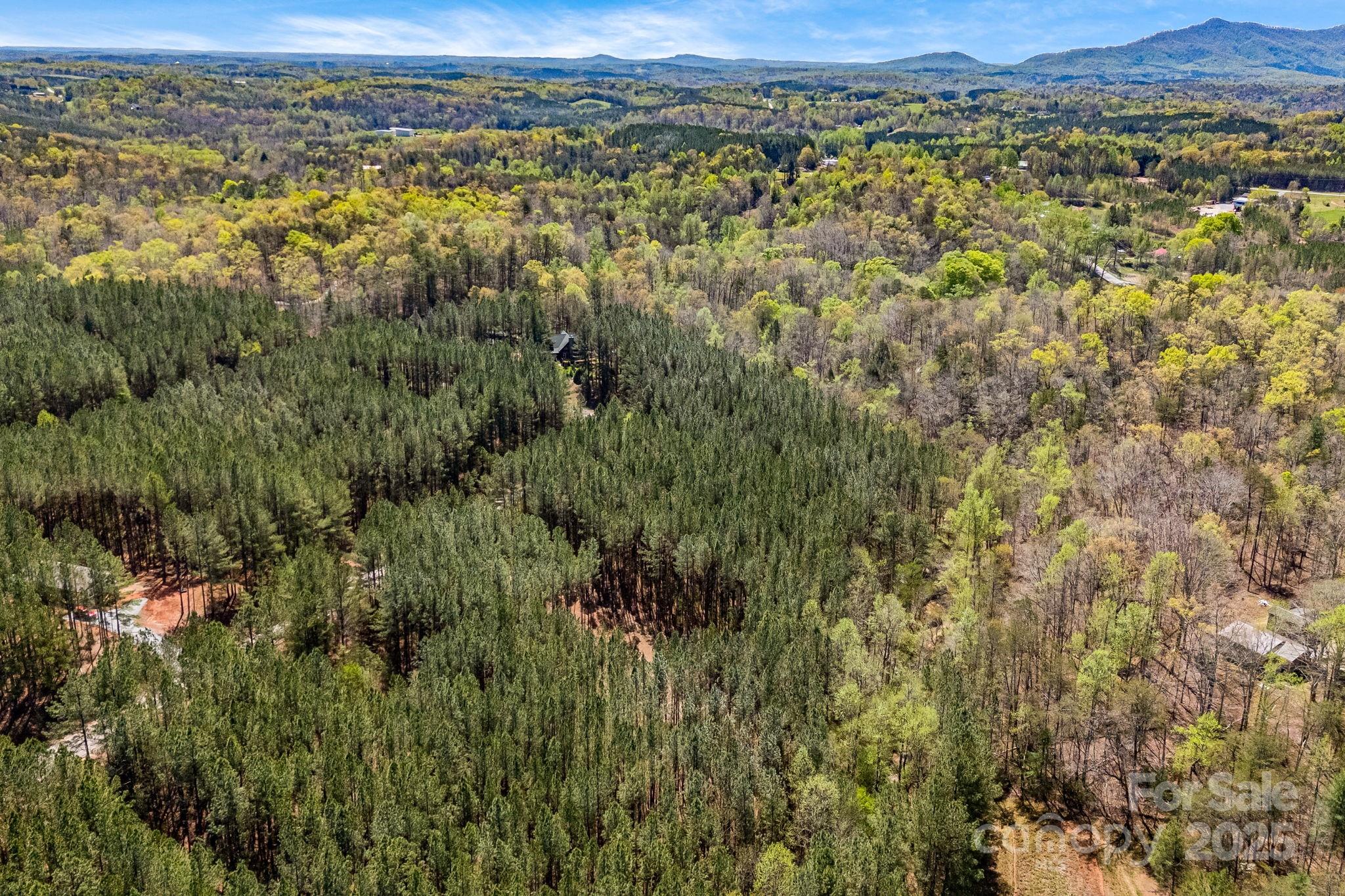 19 Sunset Drive, Unit 19 Mill Spring, NC 28756 - Photo 18 of 23