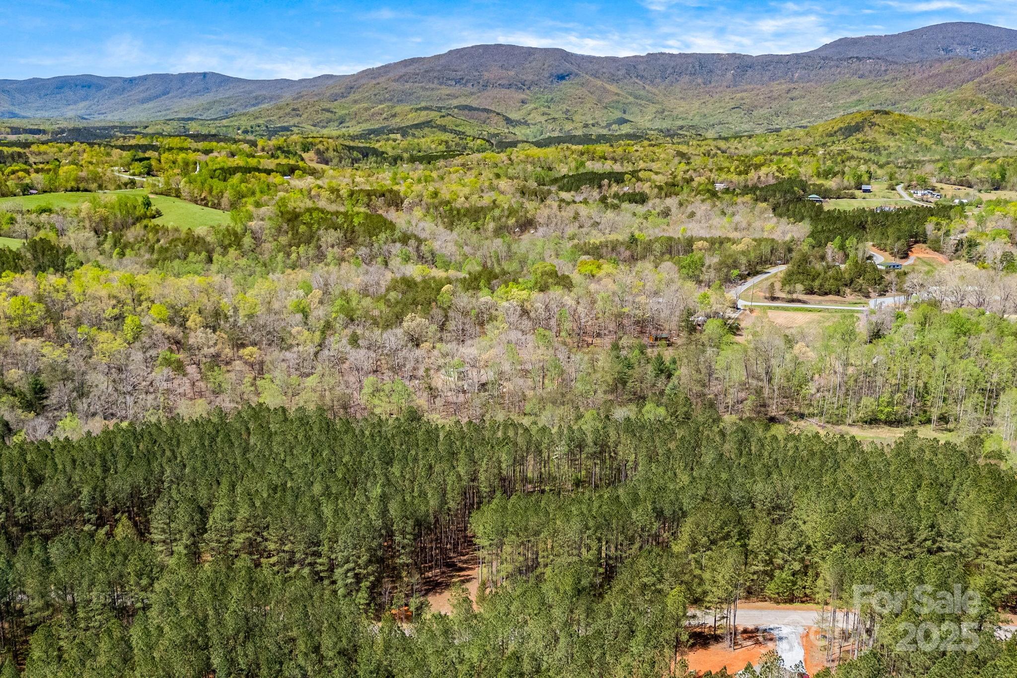 19 Sunset Drive, Unit 19 Mill Spring, NC 28756 - Photo 20 of 23