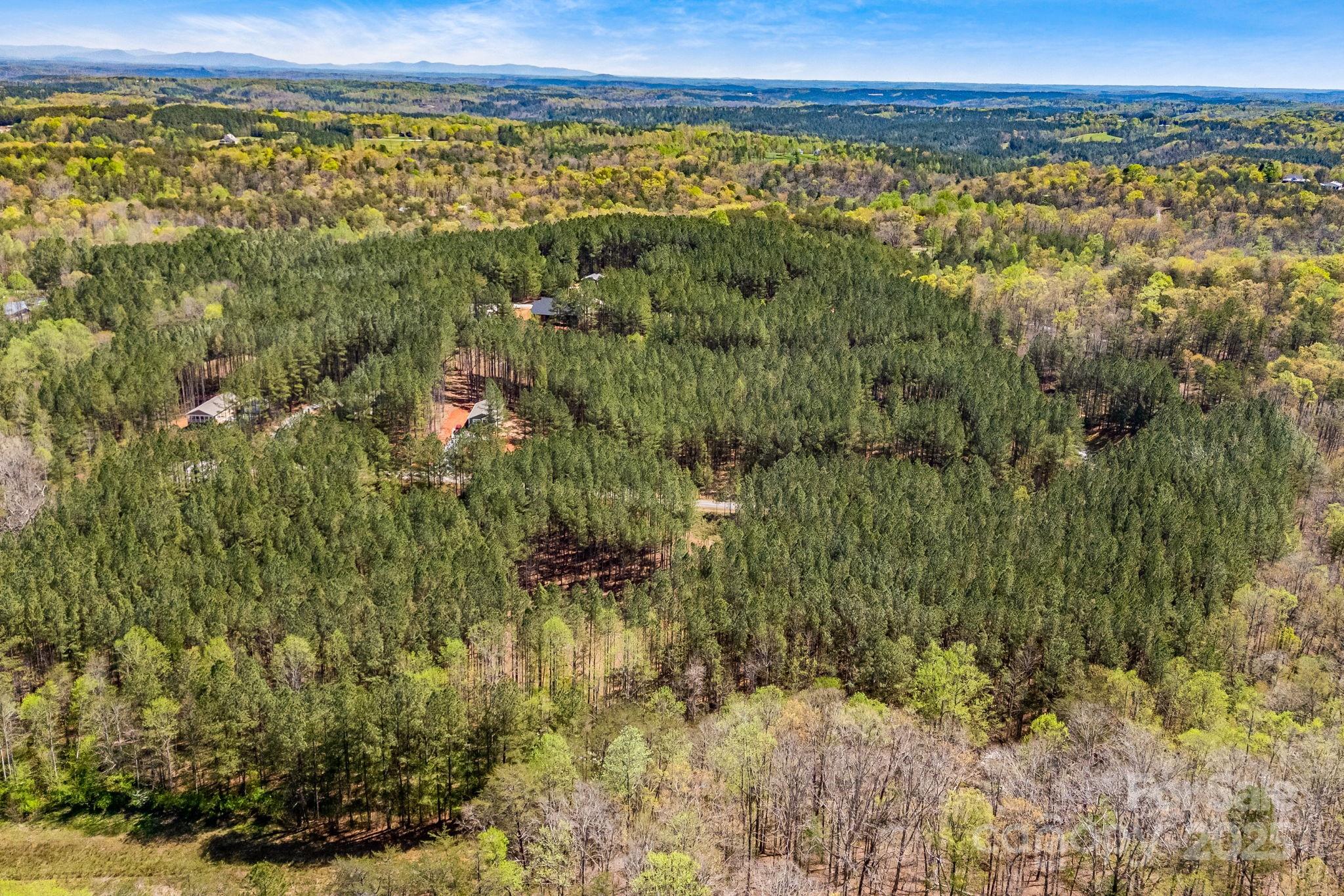 19 Sunset Drive, Unit 19 Mill Spring, NC 28756 - Photo 21 of 23