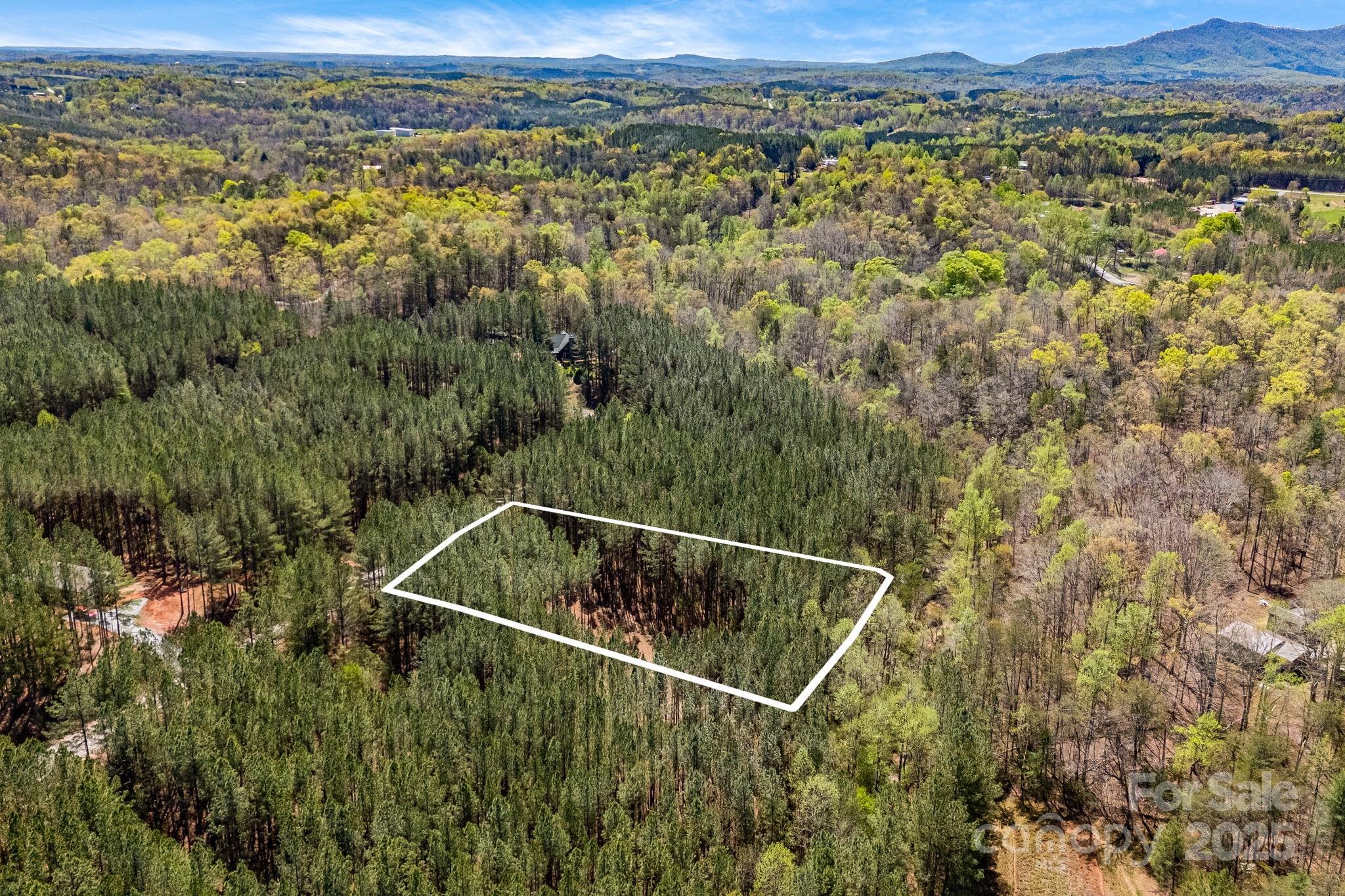 19 Sunset Drive, Unit 19 Mill Spring, NC 28756 - Photo 5 of 23