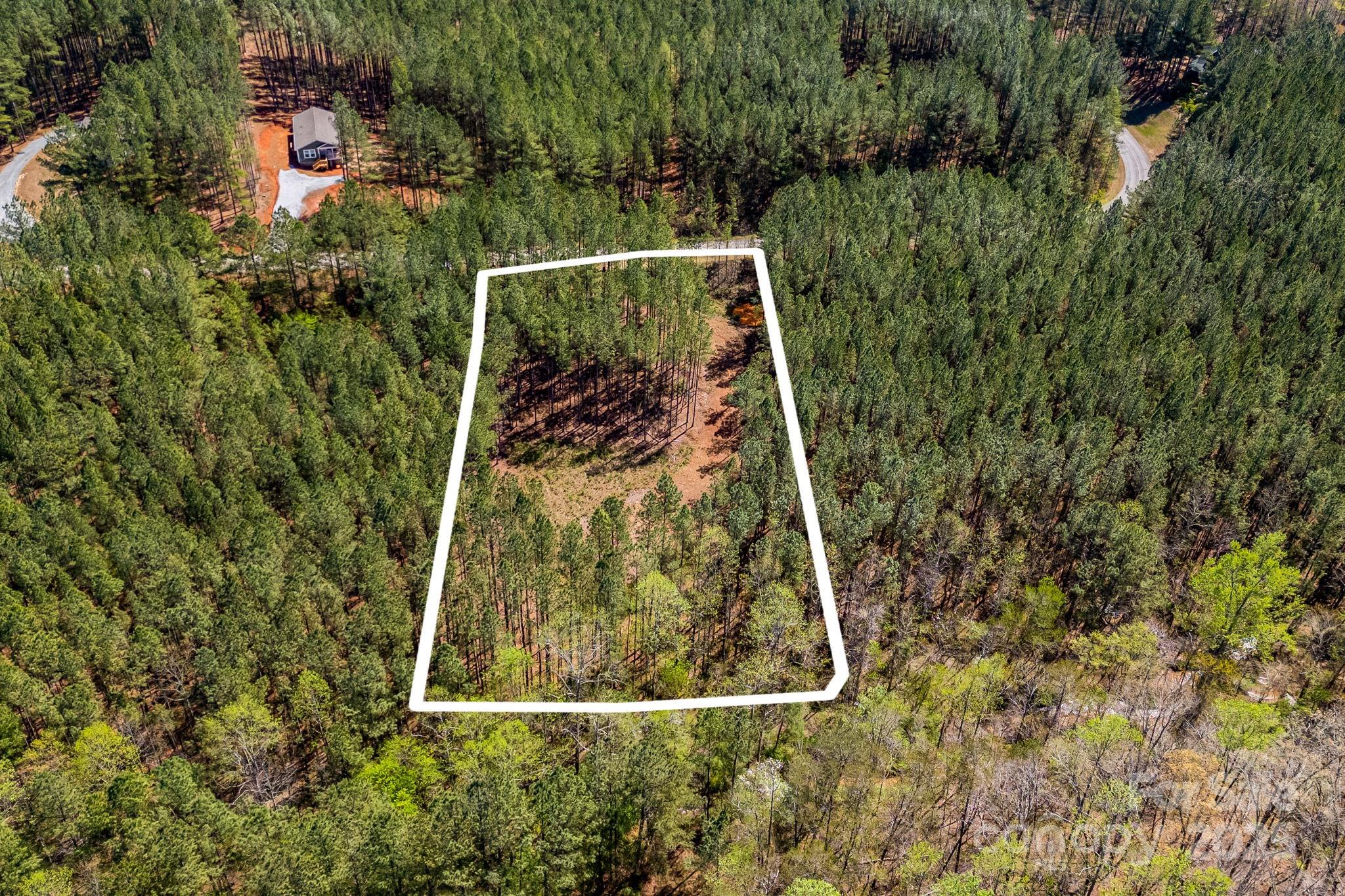 19 Sunset Drive, Unit 19 Mill Spring, NC 28756 - Photo 6 of 23