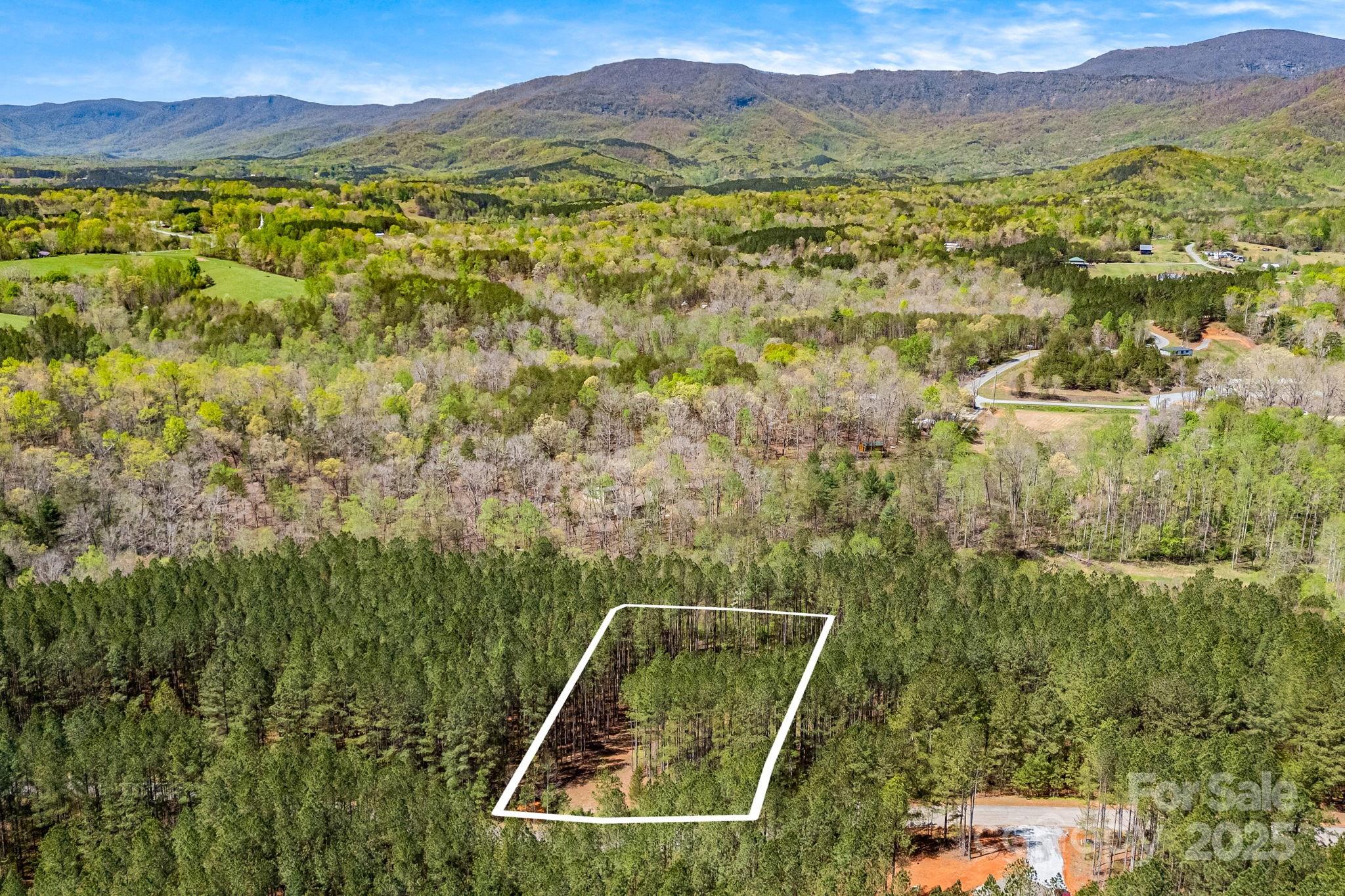 19 Sunset Drive, Unit 19 Mill Spring, NC 28756 - Photo 7 of 23