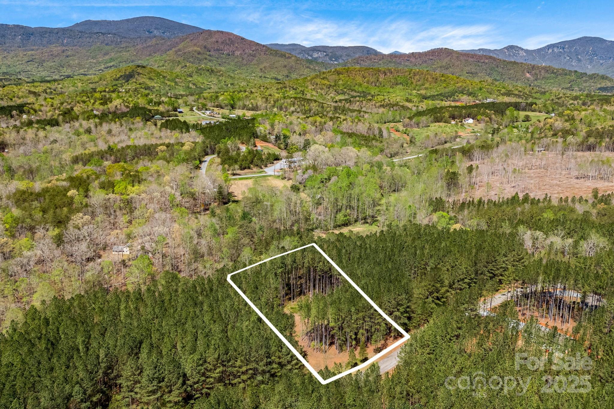 19 Sunset Drive, Unit 19 Mill Spring, NC 28756 - Photo 9 of 23