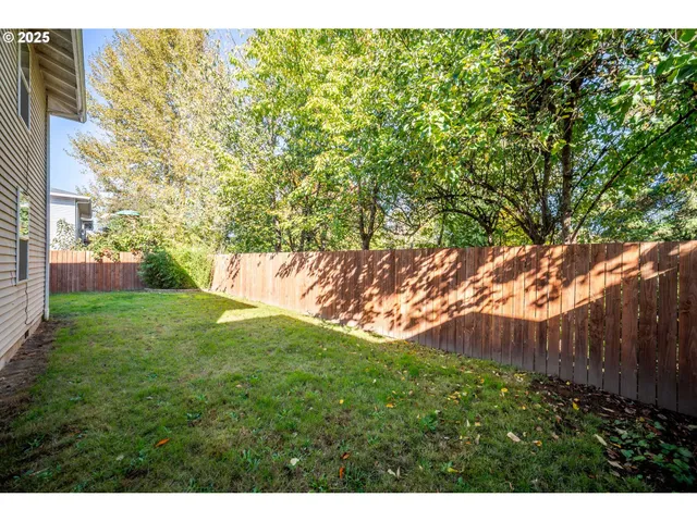 a view of a backyard with plants and large tree