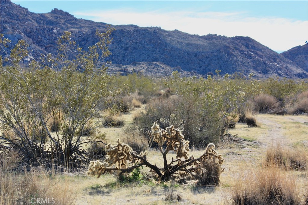 64755 Foothill Drive Joshua Tree, CA 92252 - Photo 10 of 12 a view of a dry top with mountain in the background