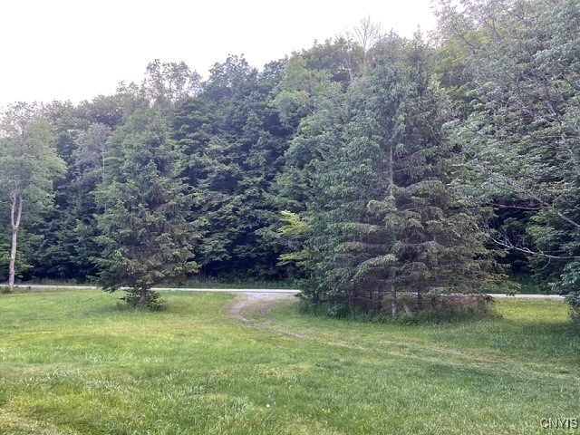 6346 Cold Brook Road Scott, NY 13077 - Photo 11 of 37