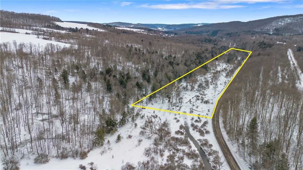 6346 Cold Brook Road Scott, NY 13077 - Photo 37 of 37