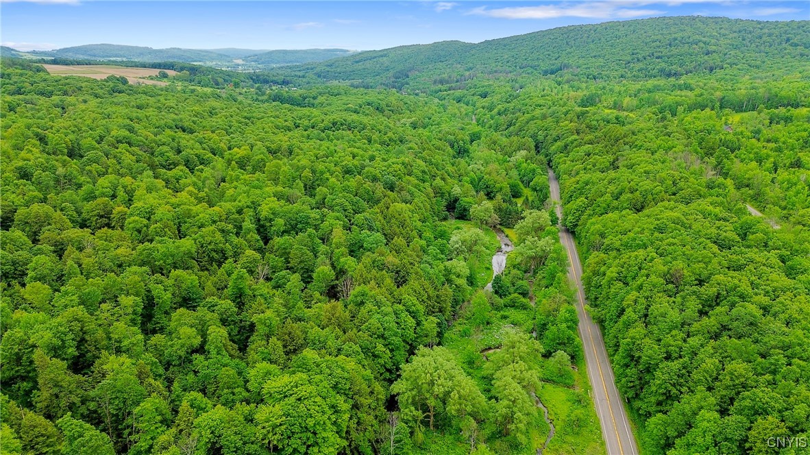 6346 Cold Brook Road Scott, NY 13077 - Photo 8 of 37