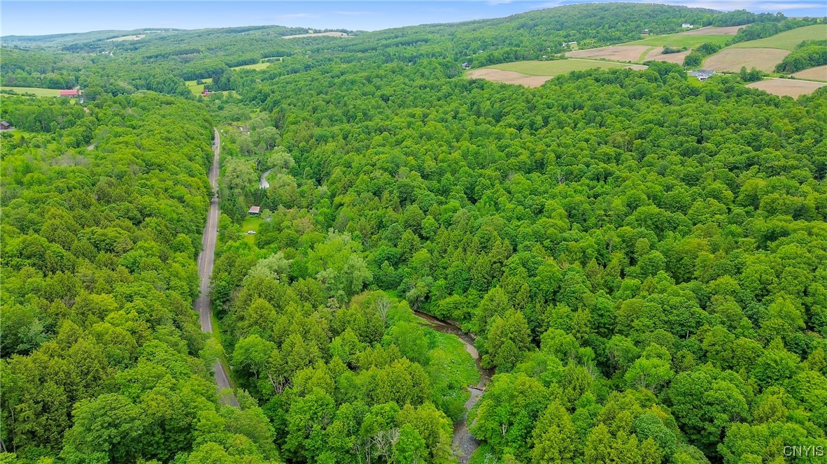 6346 Cold Brook Road Scott, NY 13077 - Photo 9 of 37