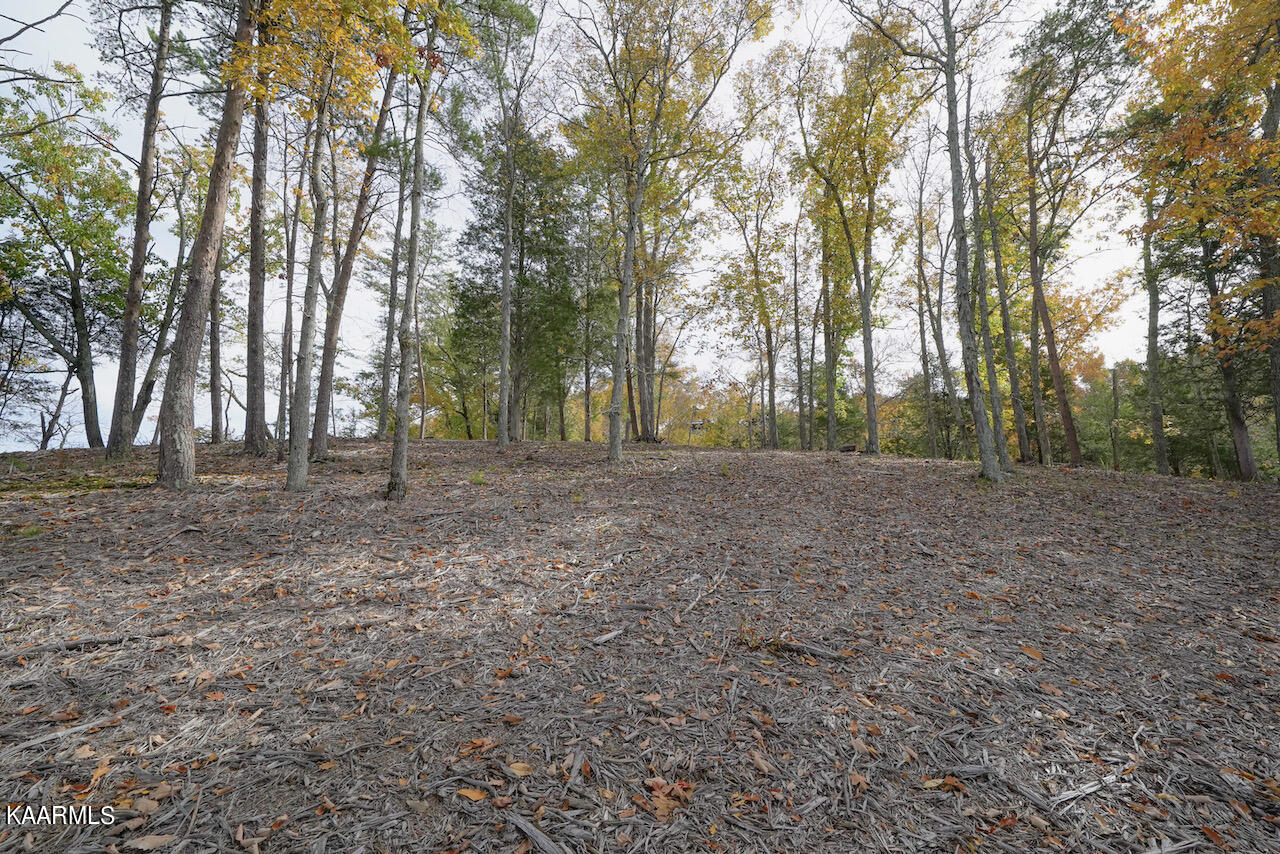 19 Maurice Road Sevierville, TN 37876 - Photo 11 of 21 E6279907-C19F-44DF-BE63-85D9A482545A