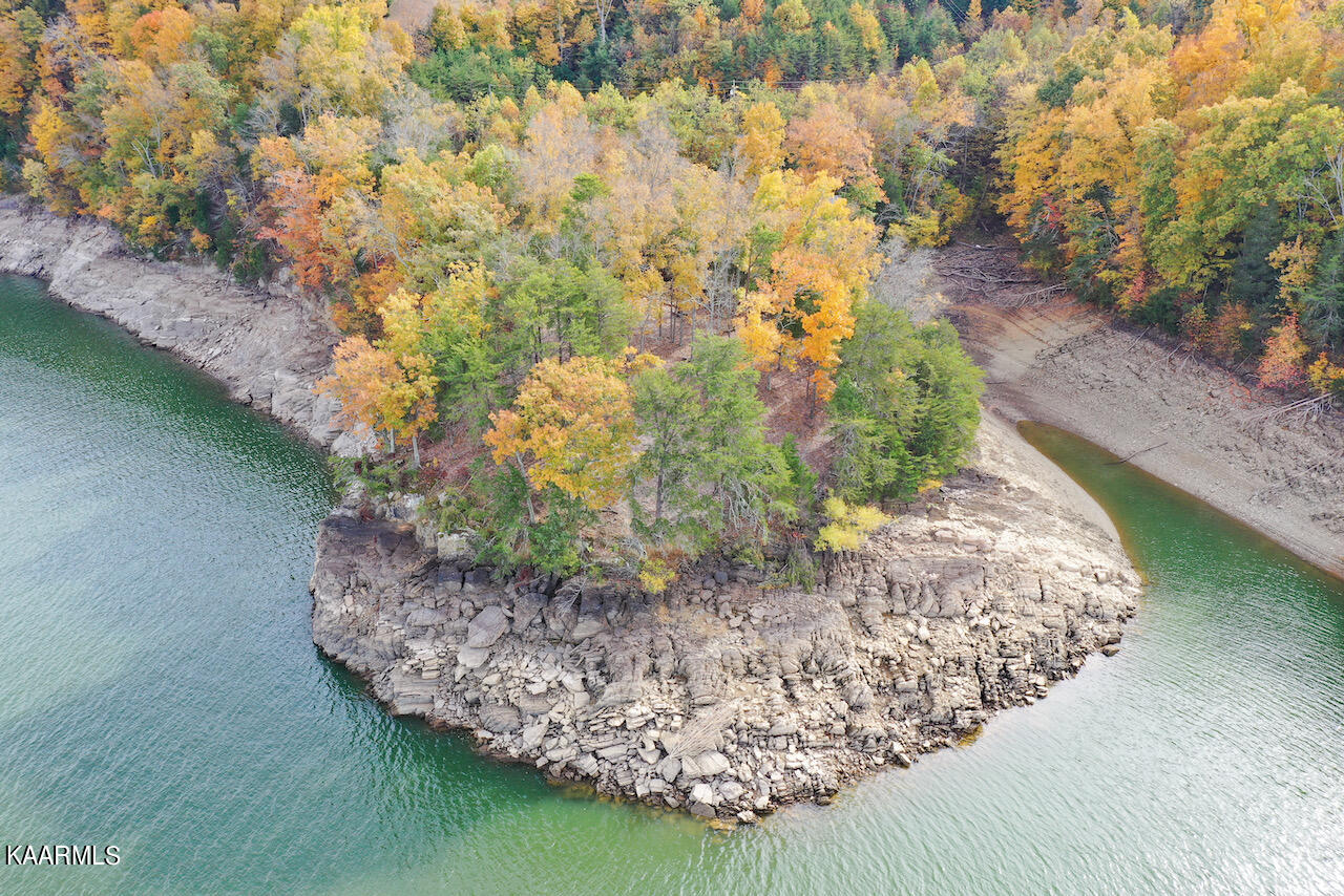19 Maurice Road Sevierville, TN 37876 - Photo 13 of 21 E8DEA4DE-41F2-4C4E-BB85-B1DA637BFFCD