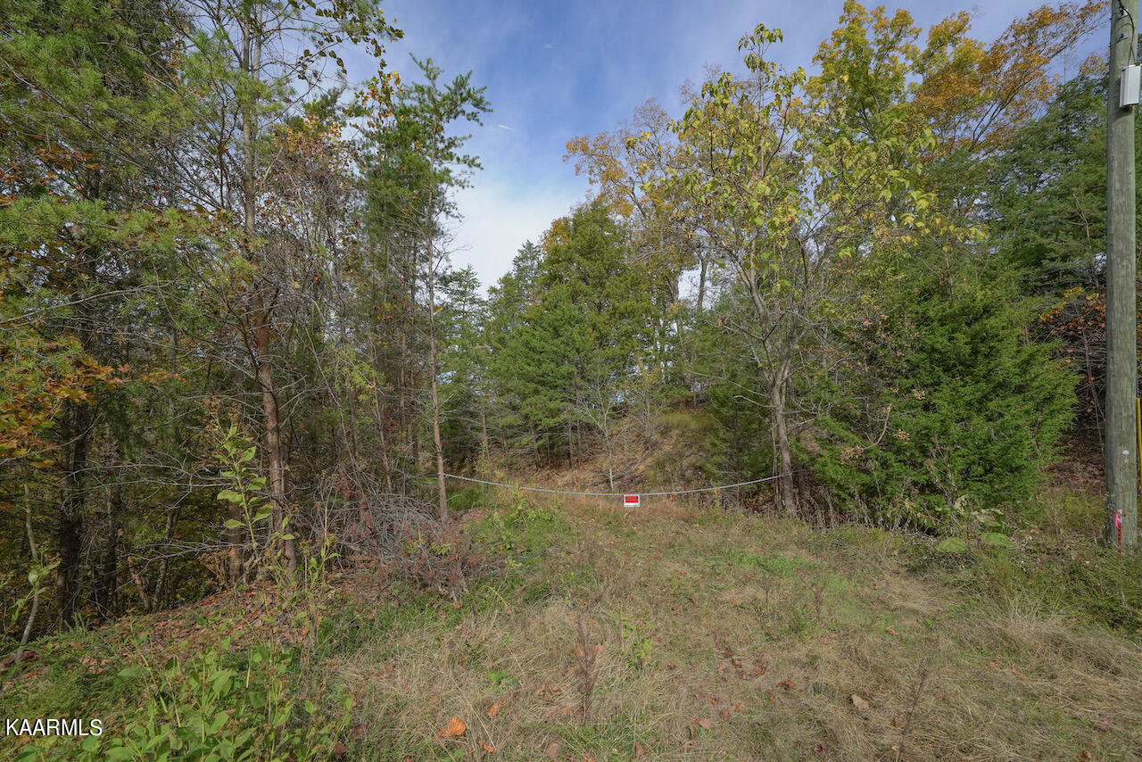 19 Maurice Road Sevierville, TN 37876 - Photo 5 of 21 ED35C43E-1B97-4C35-953F-35F3180266C4