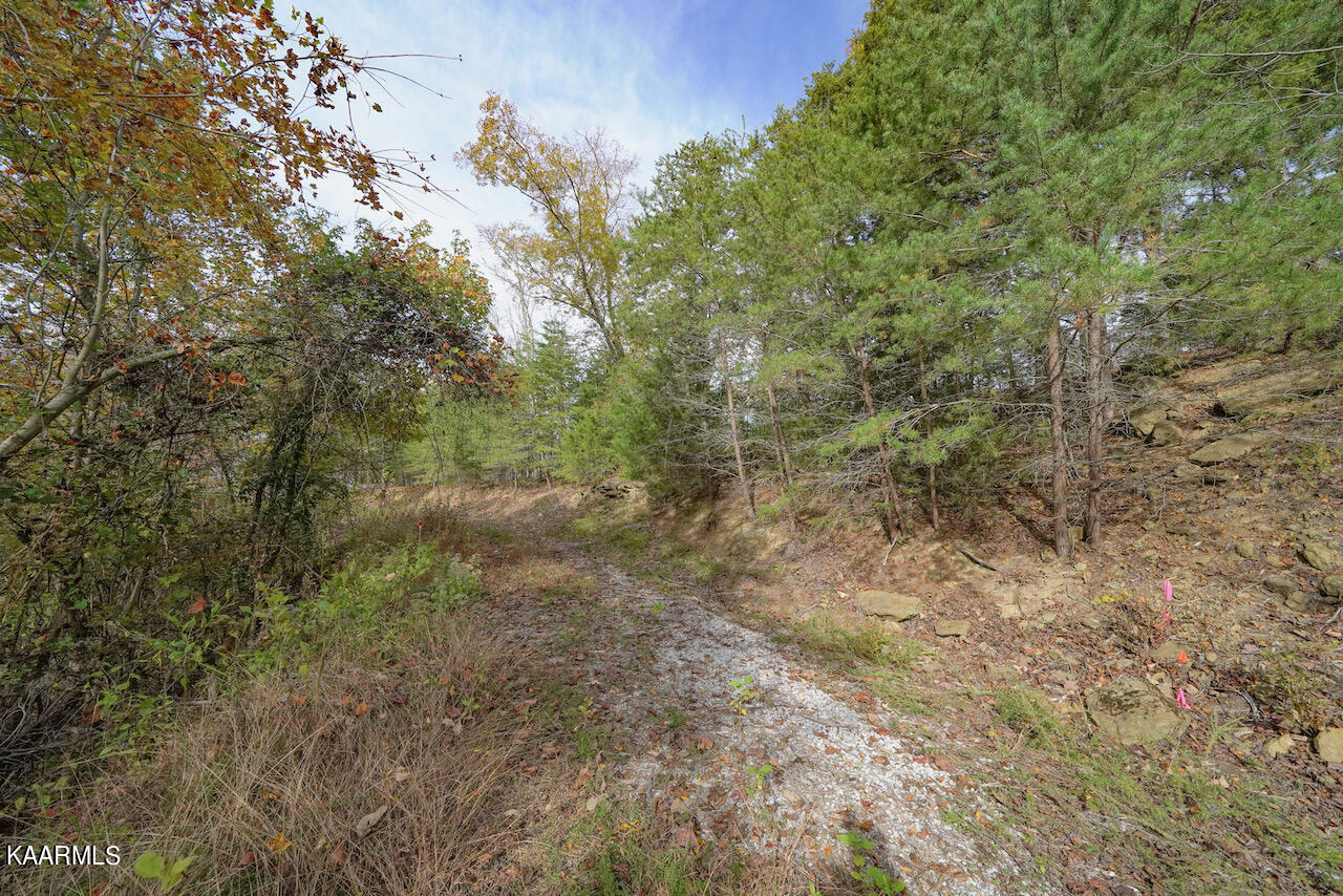 19 Maurice Road Sevierville, TN 37876 - Photo 6 of 21 5AB4531B-E818-4CB0-87E4-F020890B88D3
