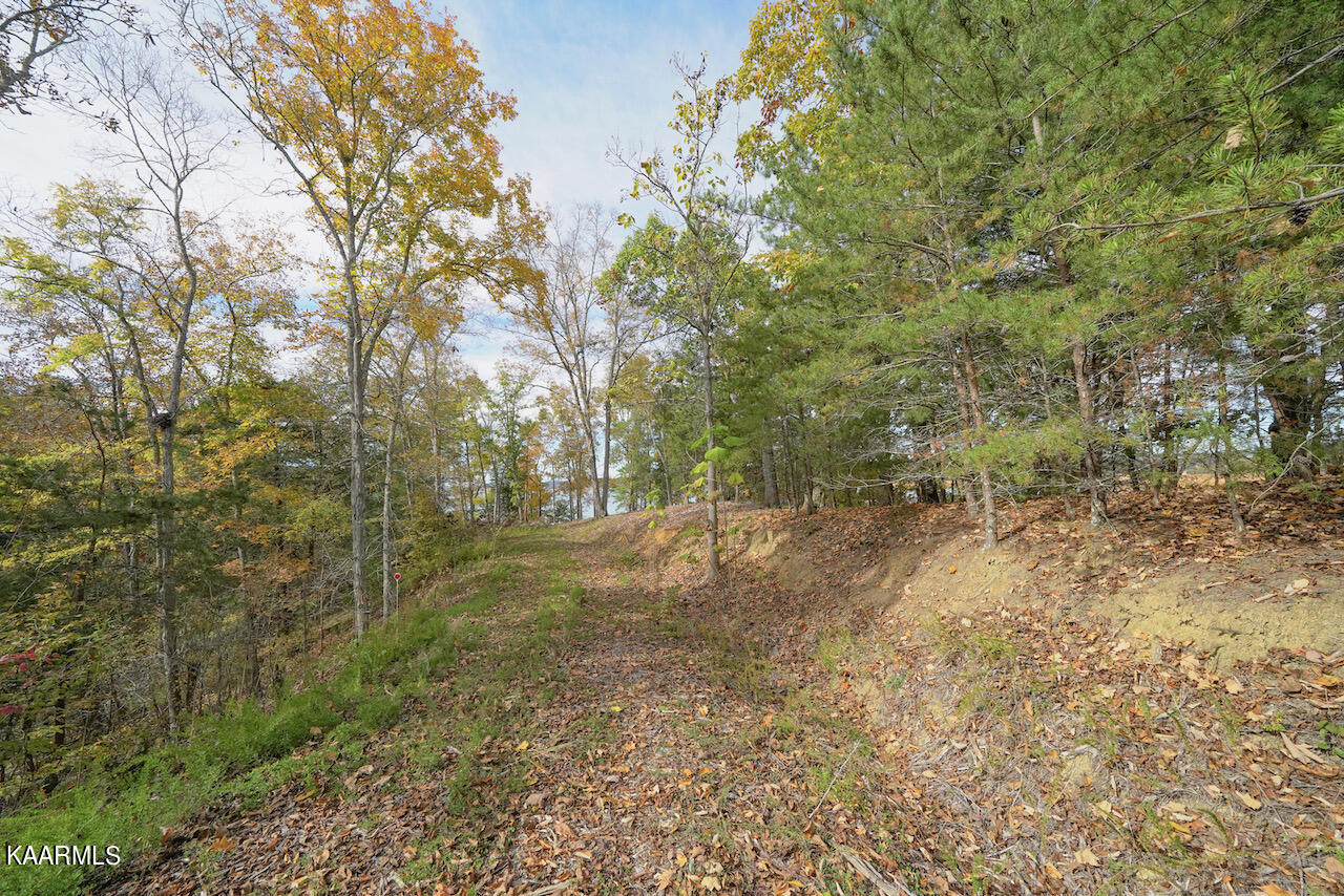19 Maurice Road Sevierville, TN 37876 - Photo 7 of 21 57B7B39B-8DC0-4A2A-90C4-1975E3D5E334