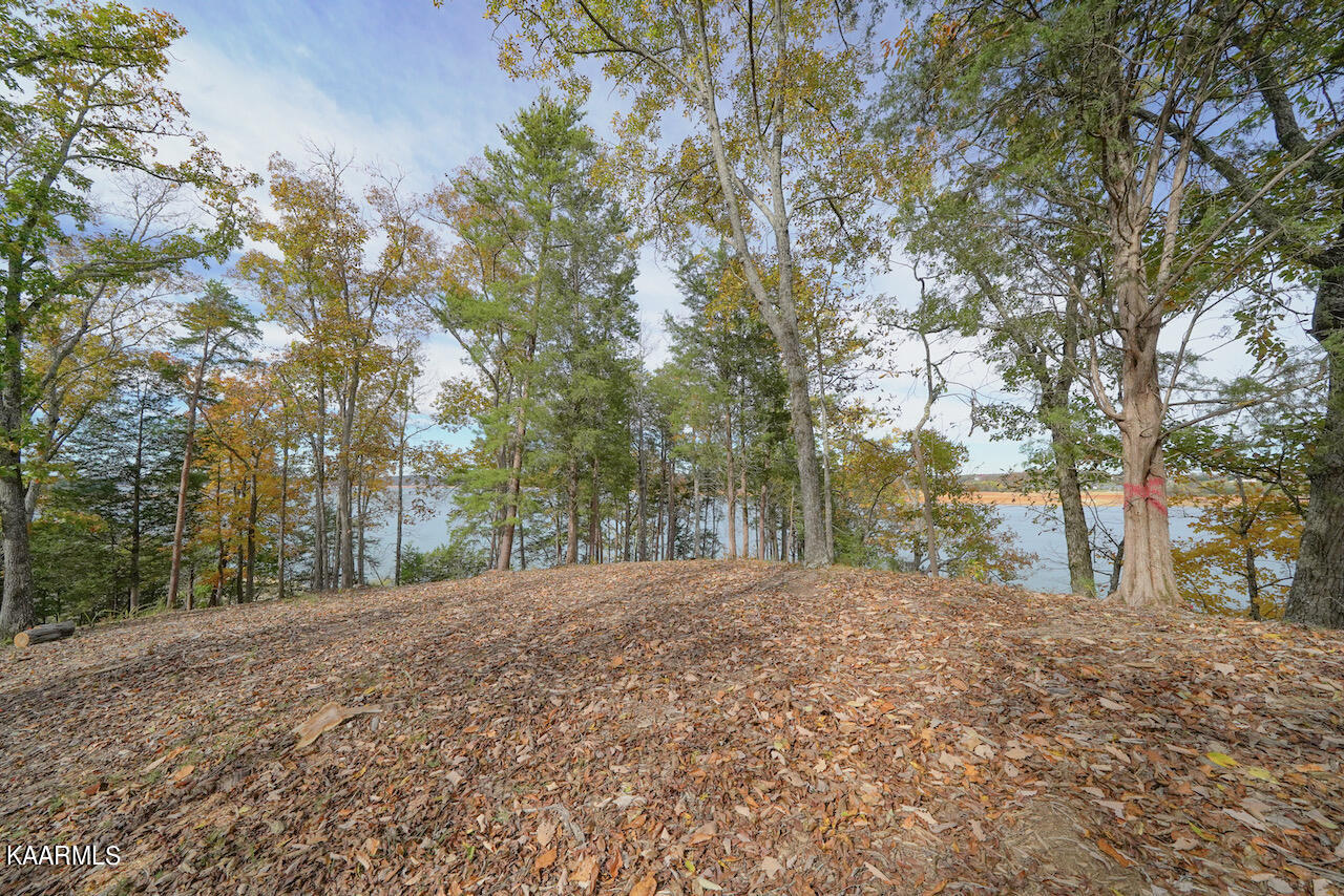 19 Maurice Road Sevierville, TN 37876 - Photo 8 of 21 0777C919-5E05-4333-B9D0-6DBC43AB7DFD