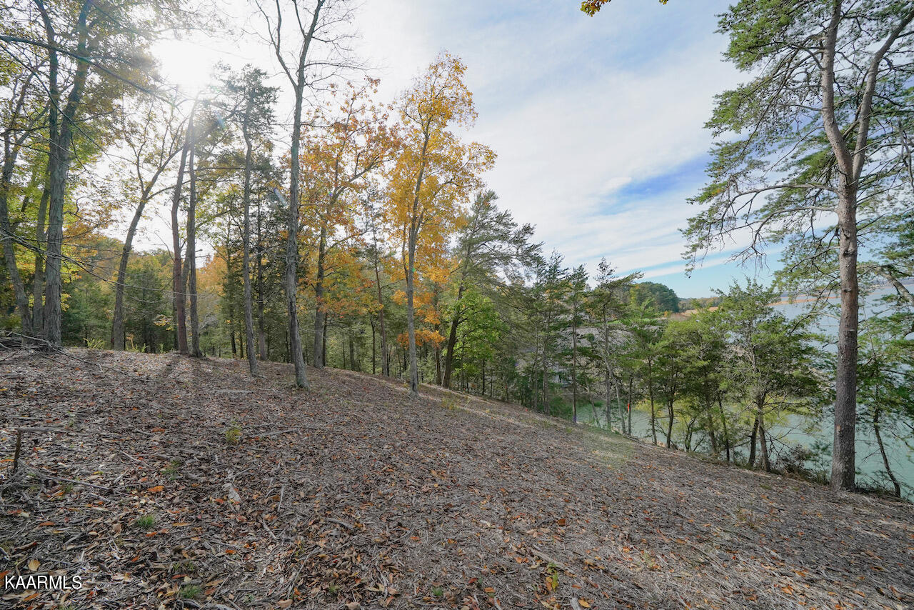 19 Maurice Road Sevierville, TN 37876 - Photo 10 of 21 43E99921-C63B-484D-BC83-270A583740D3