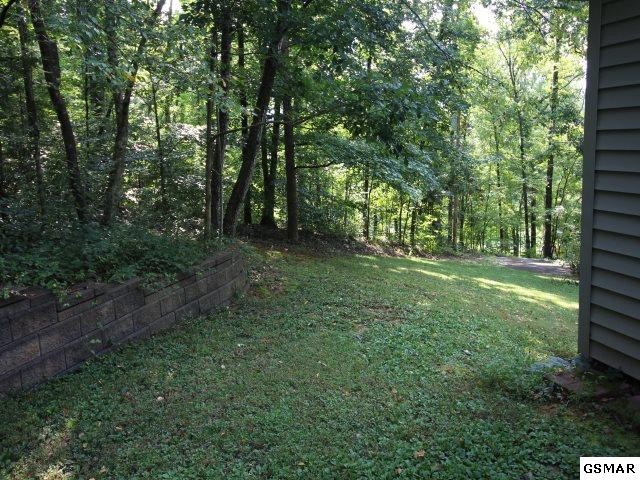 7733 Berry Williams Road Townsend, TN 37882 - Photo 3 of 23 Gallery Image 3
