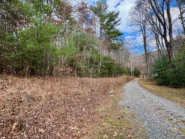 9 Timberline Road Murphy, NC 28906 - Photo 1 of 6 Main View