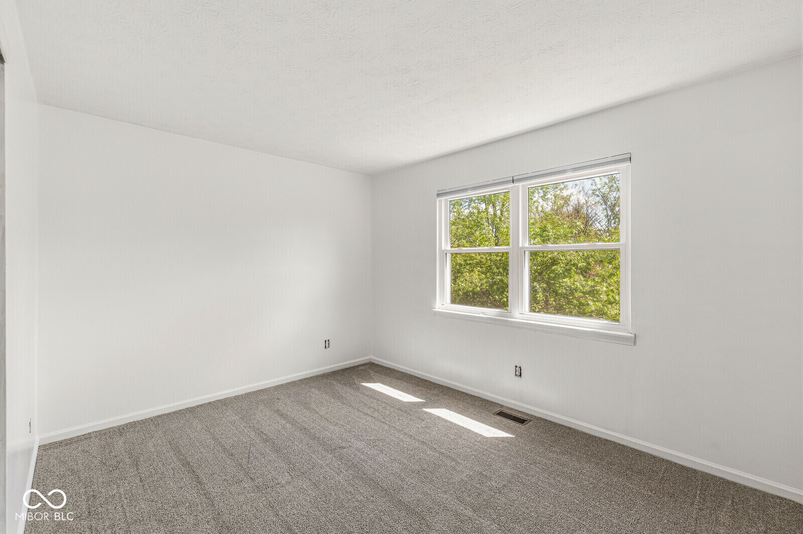 12303 West Ridge Circle Indianapolis, IN 46236 - Photo 16 of 29