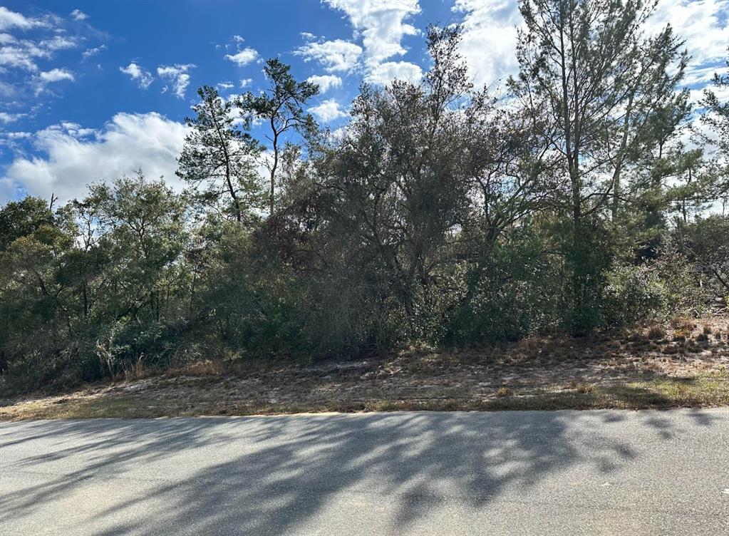 Sw Southwest 178th Street Road Ocala, FL 34473 - Photo 1 of 1