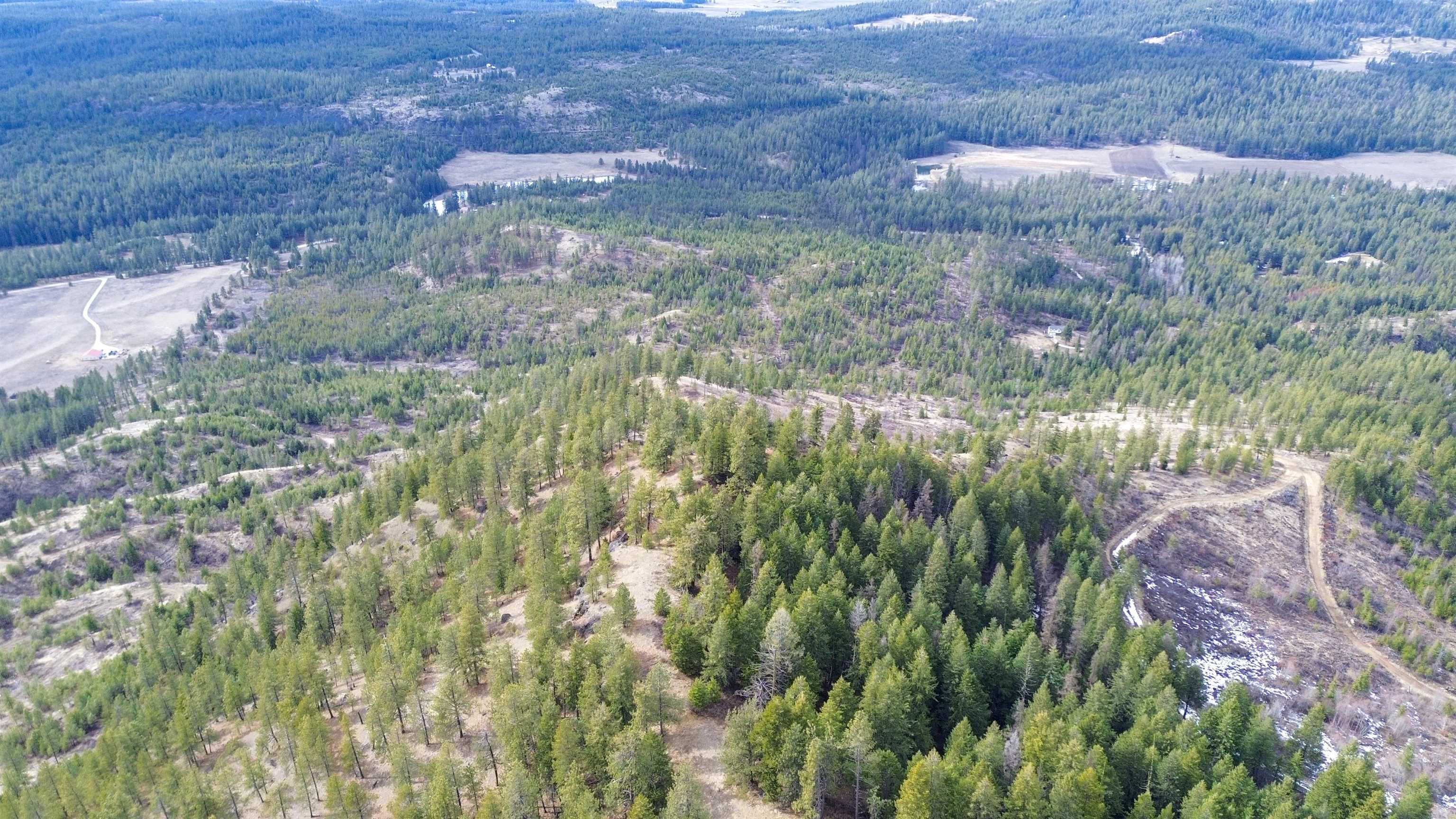352 X Green Road Valley, WA 99181 - Photo 30 of 32