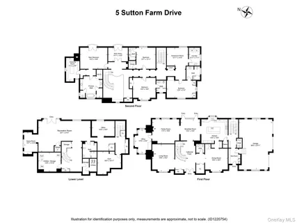 a view of a big yard with plants and large trees