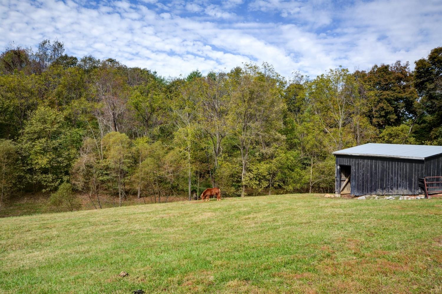 2625 Miller Hunt Road Winchester, KY 40391 - Photo 21 of 44 Listing Photo