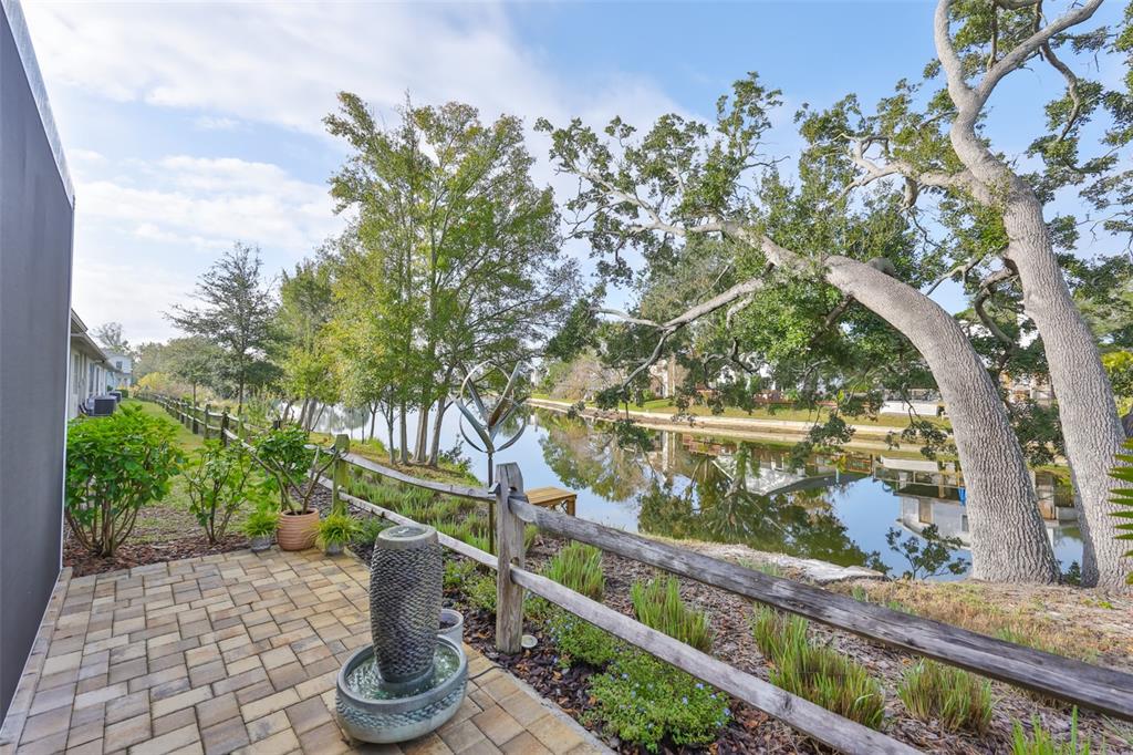 2262 Spring Lake Clearwater, FL 33763 - Photo 3 of 51 a view of a lake with a tree