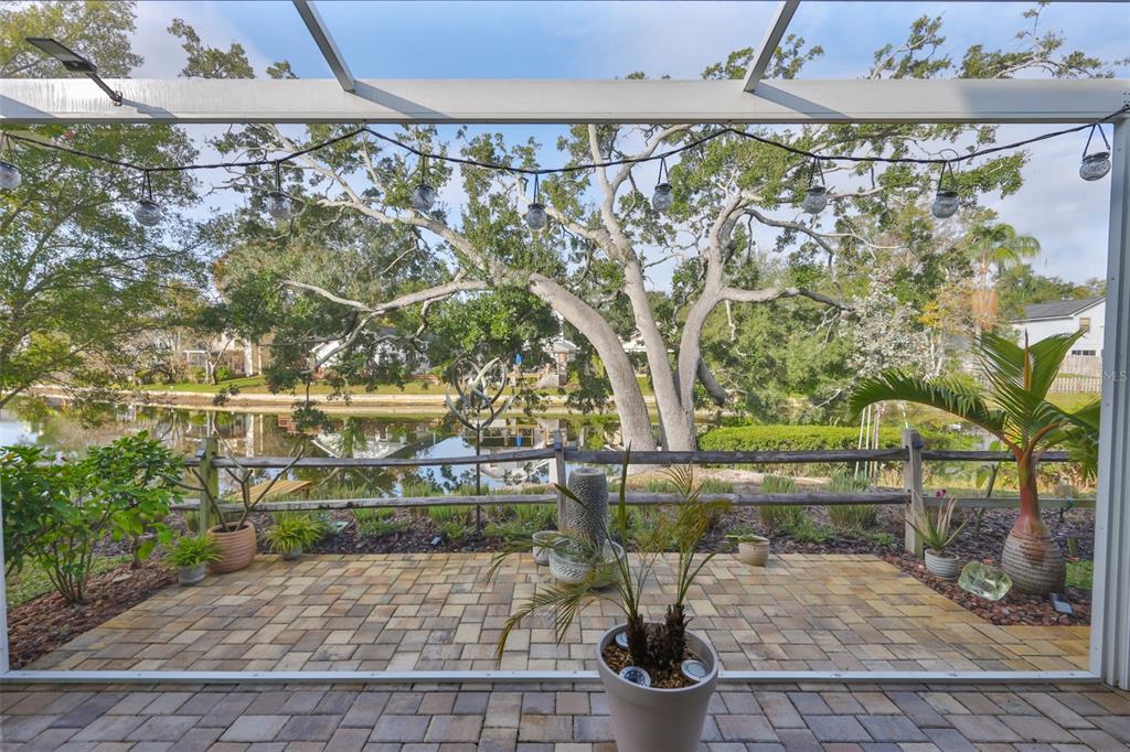 2262 Spring Lake Clearwater, FL 33763 - Photo 39 of 51