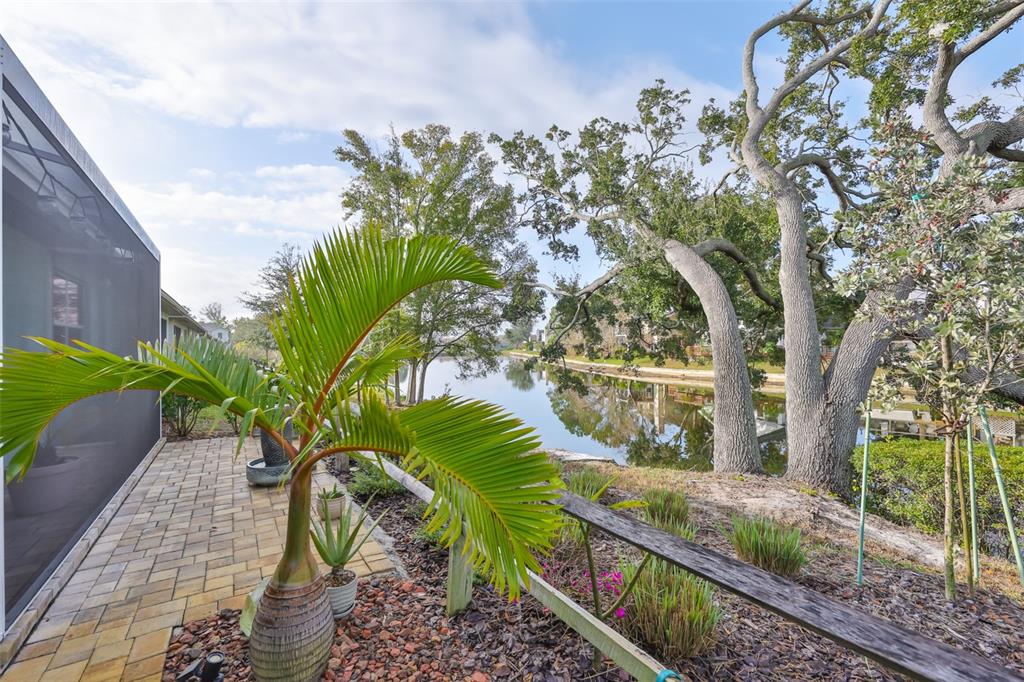 2262 Spring Lake Clearwater, FL 33763 - Photo 41 of 51 a view of a garden