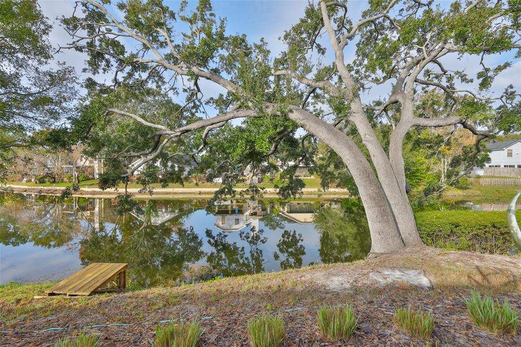2262 Spring Lake Clearwater, FL 33763 - Photo 43 of 51 a view of lake