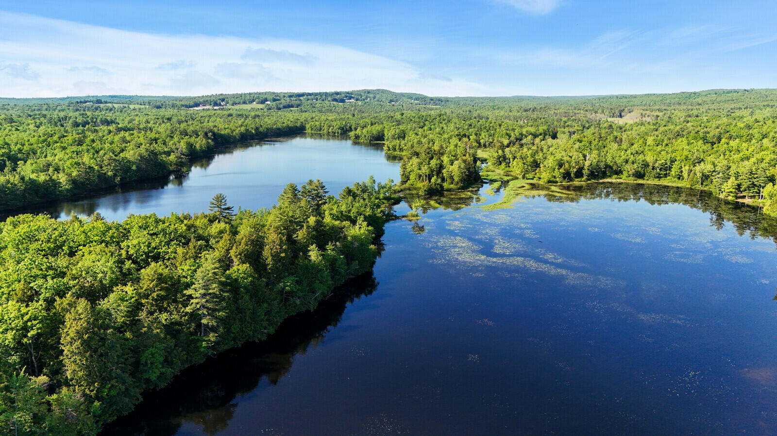 230 250 290 Beaver Ridge Road Palermo, ME 04354 - Photo 19 of 19 Pond View