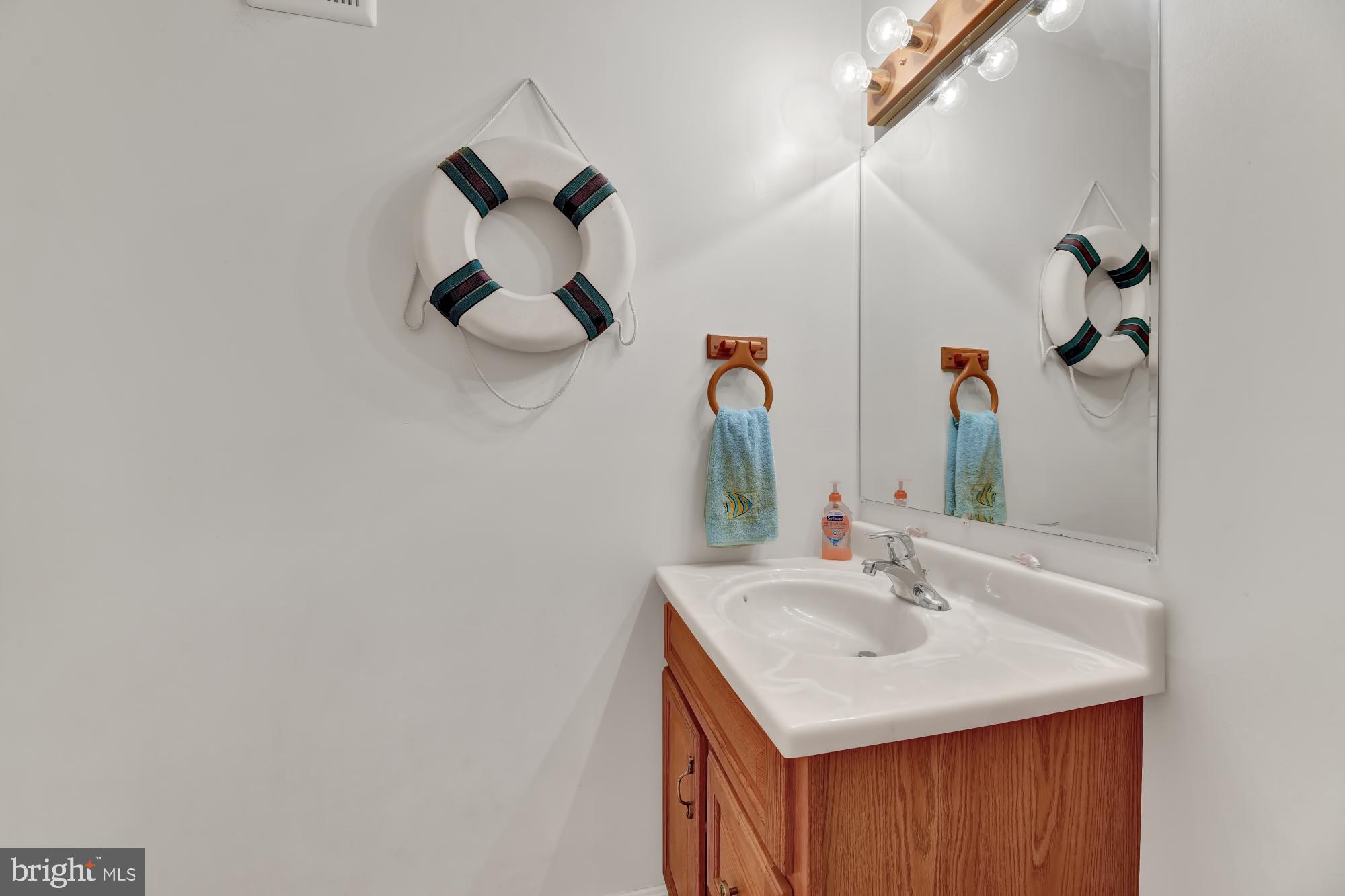 1335 South Seneca Road Baltimore, MD 21220 - Photo 38 of 48 Lower Level Bath