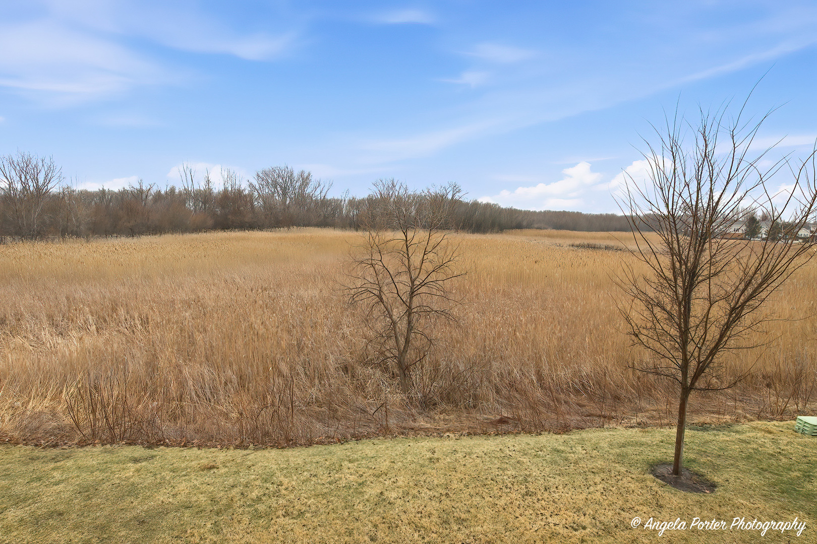 1213 Draper Road McHenry, IL 60050 - Photo 14 of 16