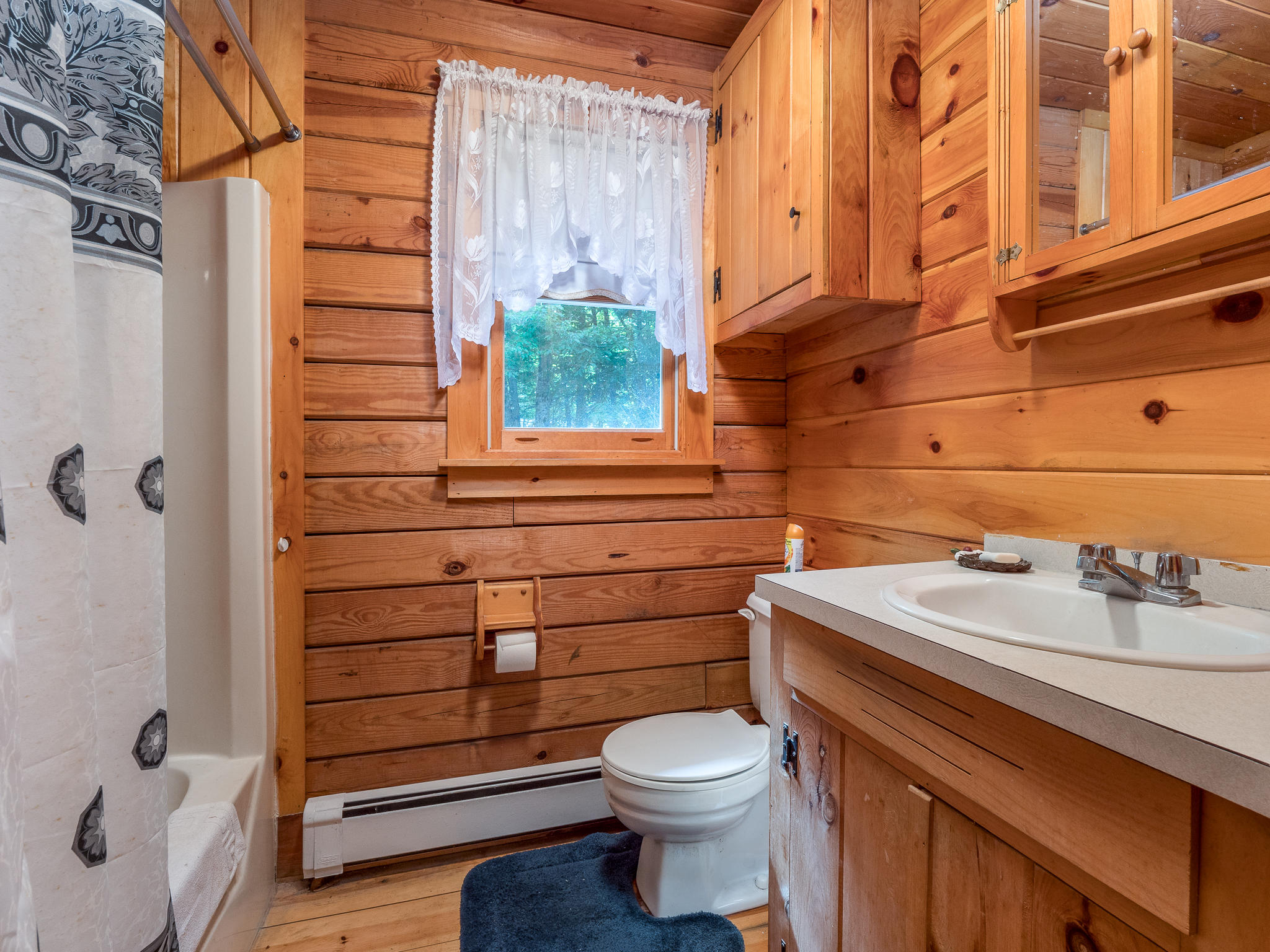 218 Trickey Pond Road Naples, ME 04055 - Photo 9 of 25 218 Trickey Pond -11