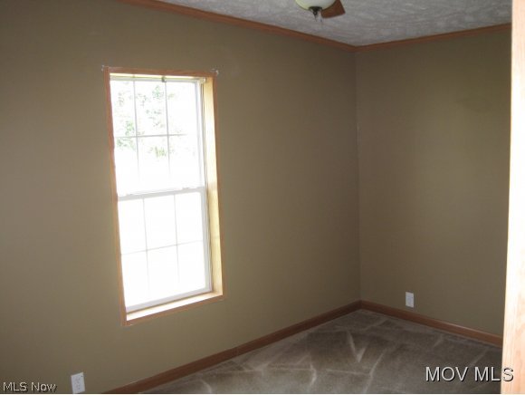 2969 Plum Run Road Waterford, OH 45786 - Photo 5 of 18 Gallery Image 5