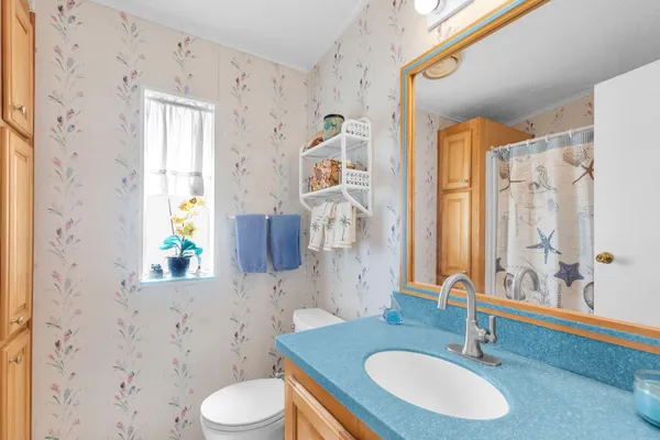 a bathroom with a sink a toilet and a mirror