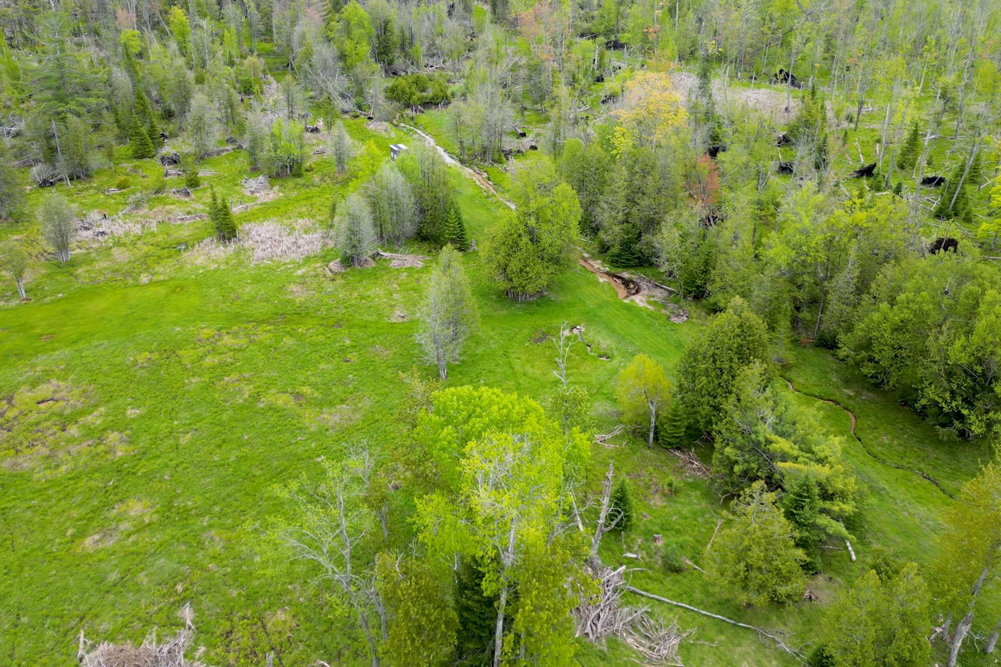 8401 South Sullivan Road Cedar, MI 49621 - Photo 93 of 97