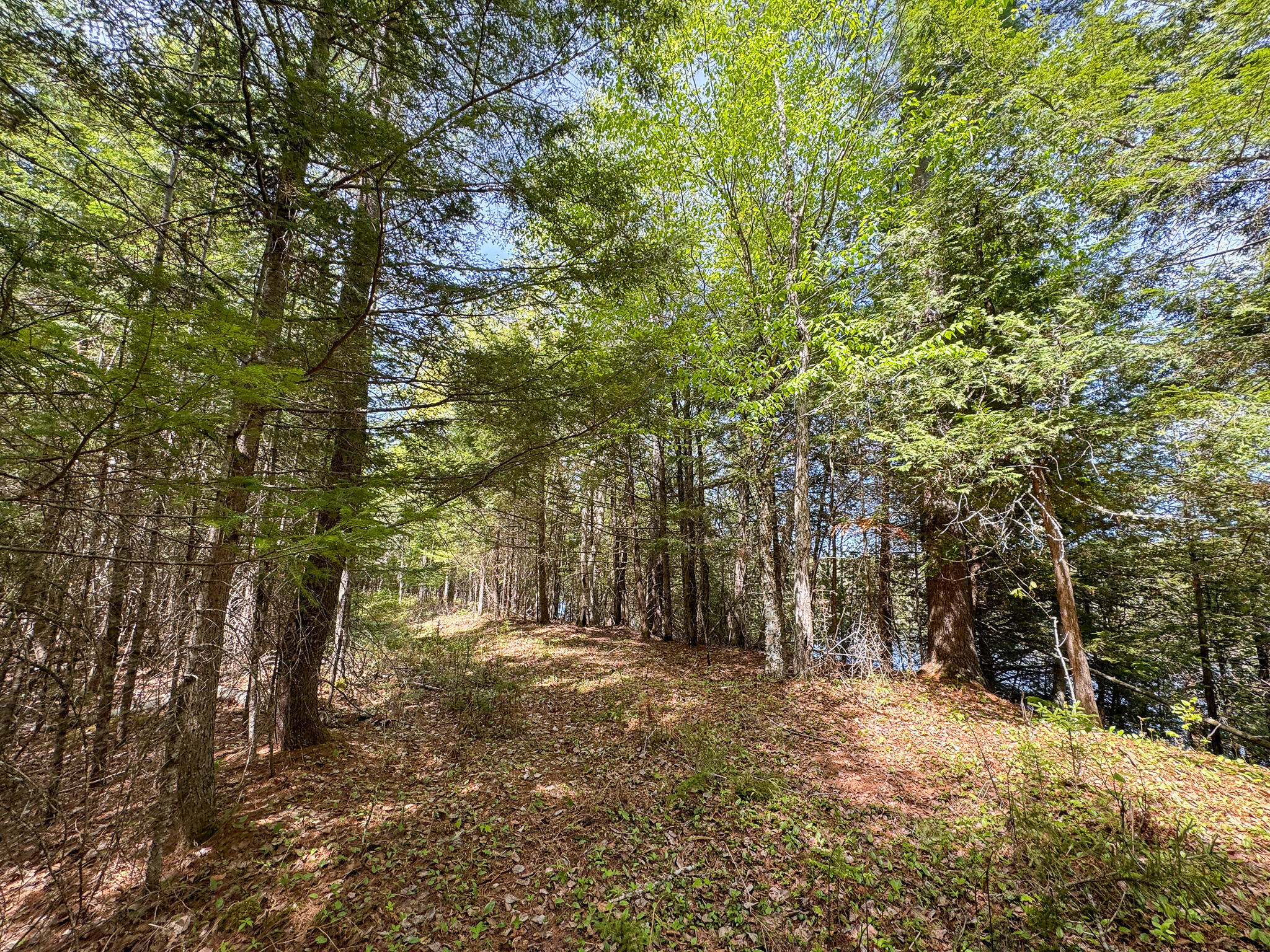 M2-l11-4 West Indian Road Lincoln, ME 04457 - Photo 7 of 27 8