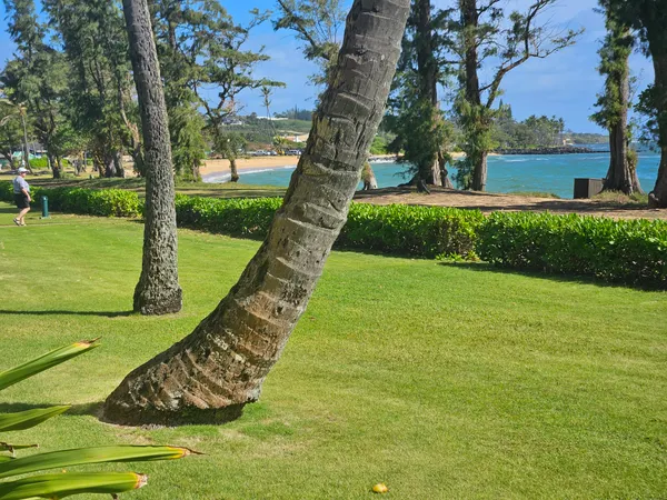 $1,239,000 | 4-1250 Kuhio Highway, Unit C107, Kapaa, HI 96746
