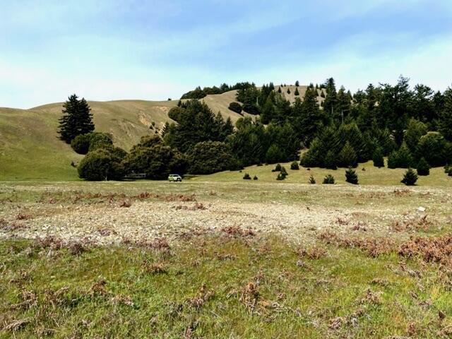 4001 Conklin Creek Road Ferndale, CA 95536 - Photo 33 of 125