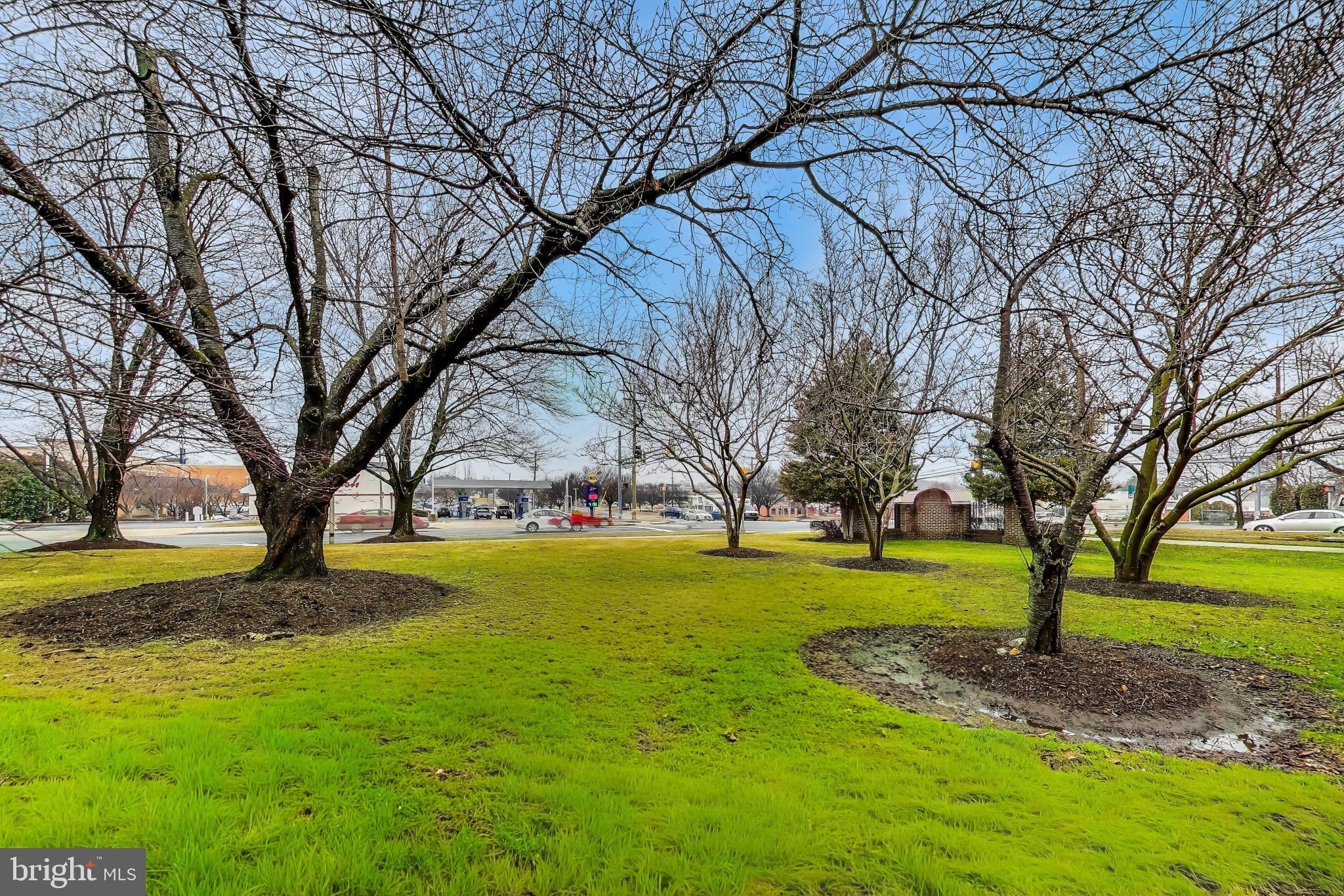 3206 Spartan Road, Unit 17 Olney, MD 20832 - Photo 26 of 28 a backyard of a house with large trees