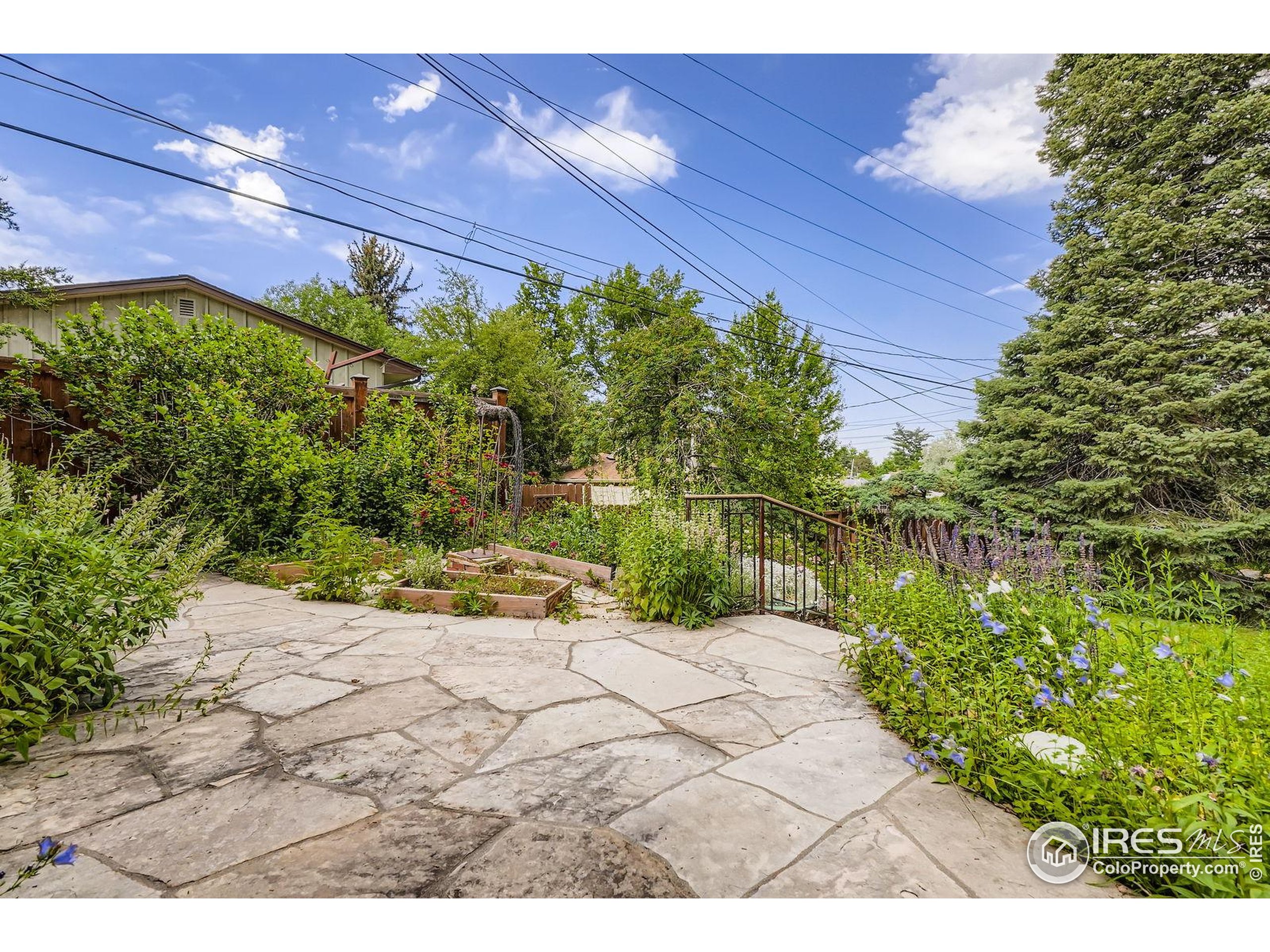 360 20th Street Boulder, CO 80302 - Photo 18 of 31 a view of a backyard with plants