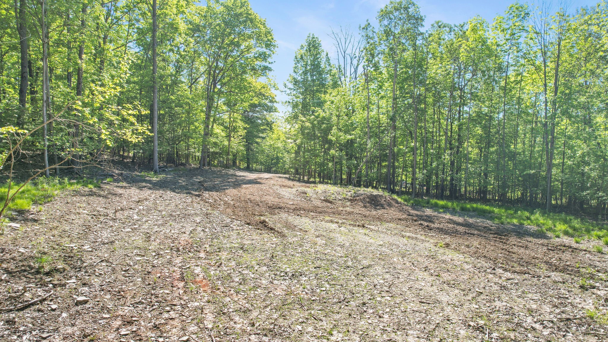 315 Gaf Lake Road Windsor, NY 13865 - Photo 5 of 12 Gallery Image 5