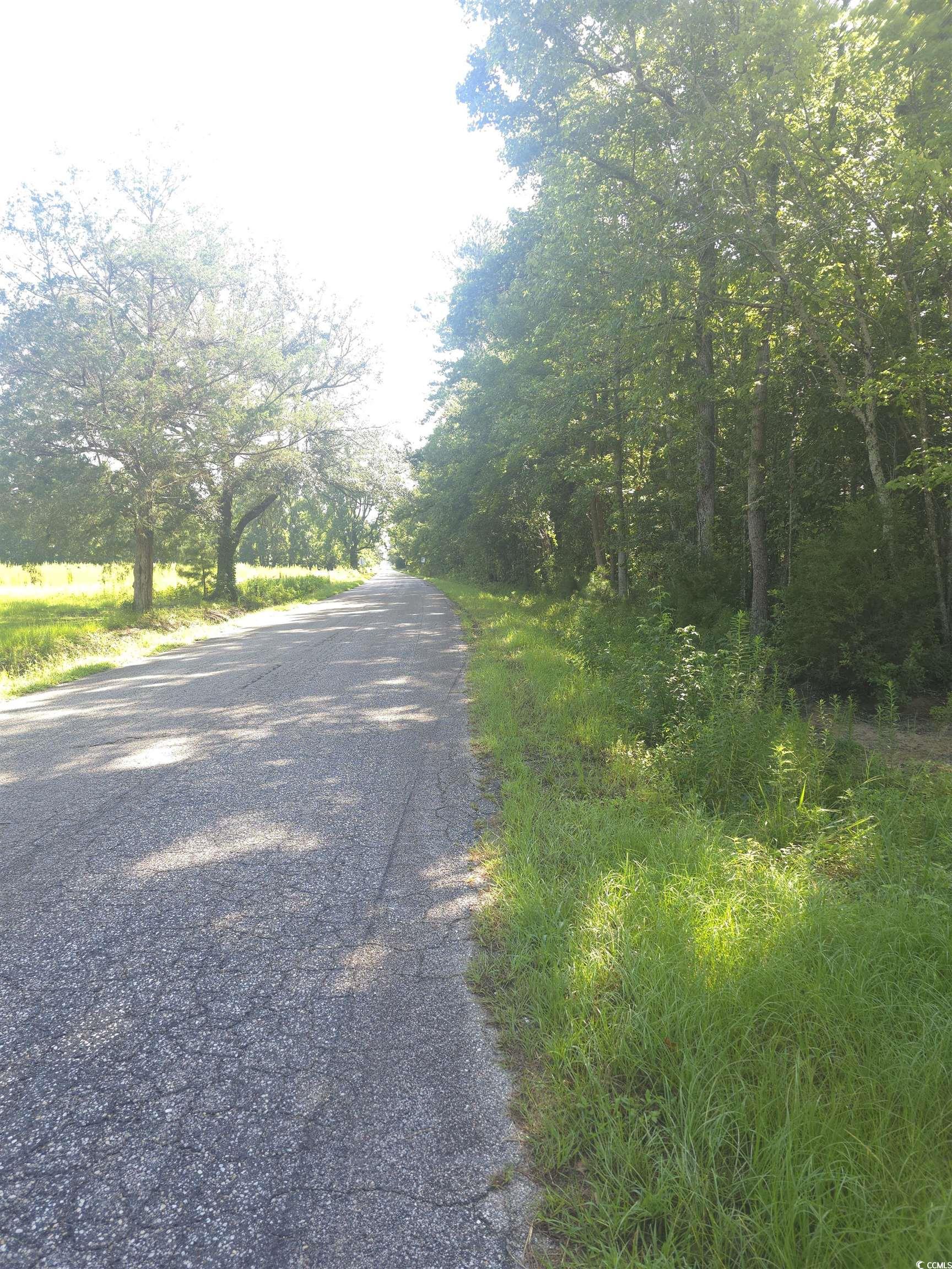 Tbd Tbd Tomahawk Road Hemingway, SC 29554 - Photo 1 of 2