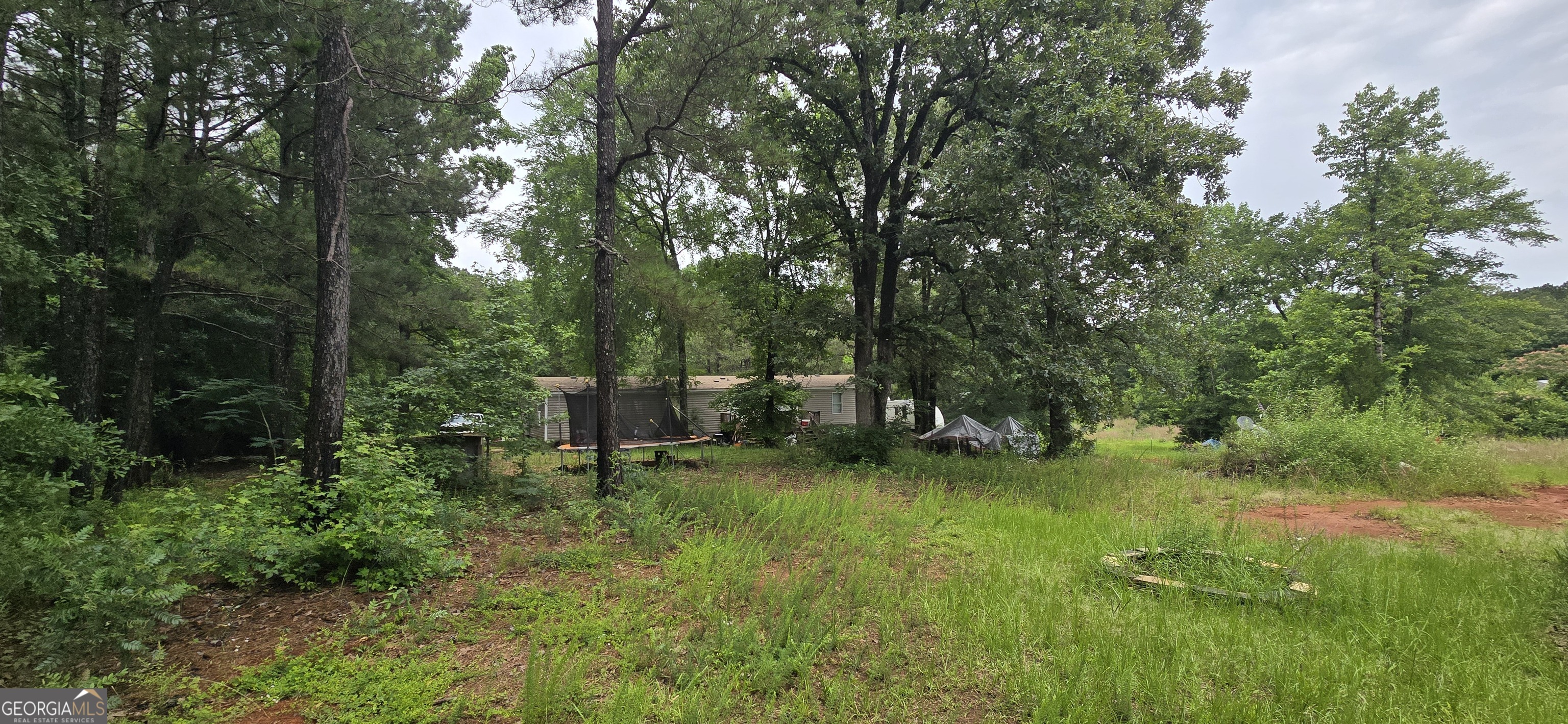 352 Jeffrey Way Forsyth, GA 31029 - Photo 12 of 12 a view of a park with large trees